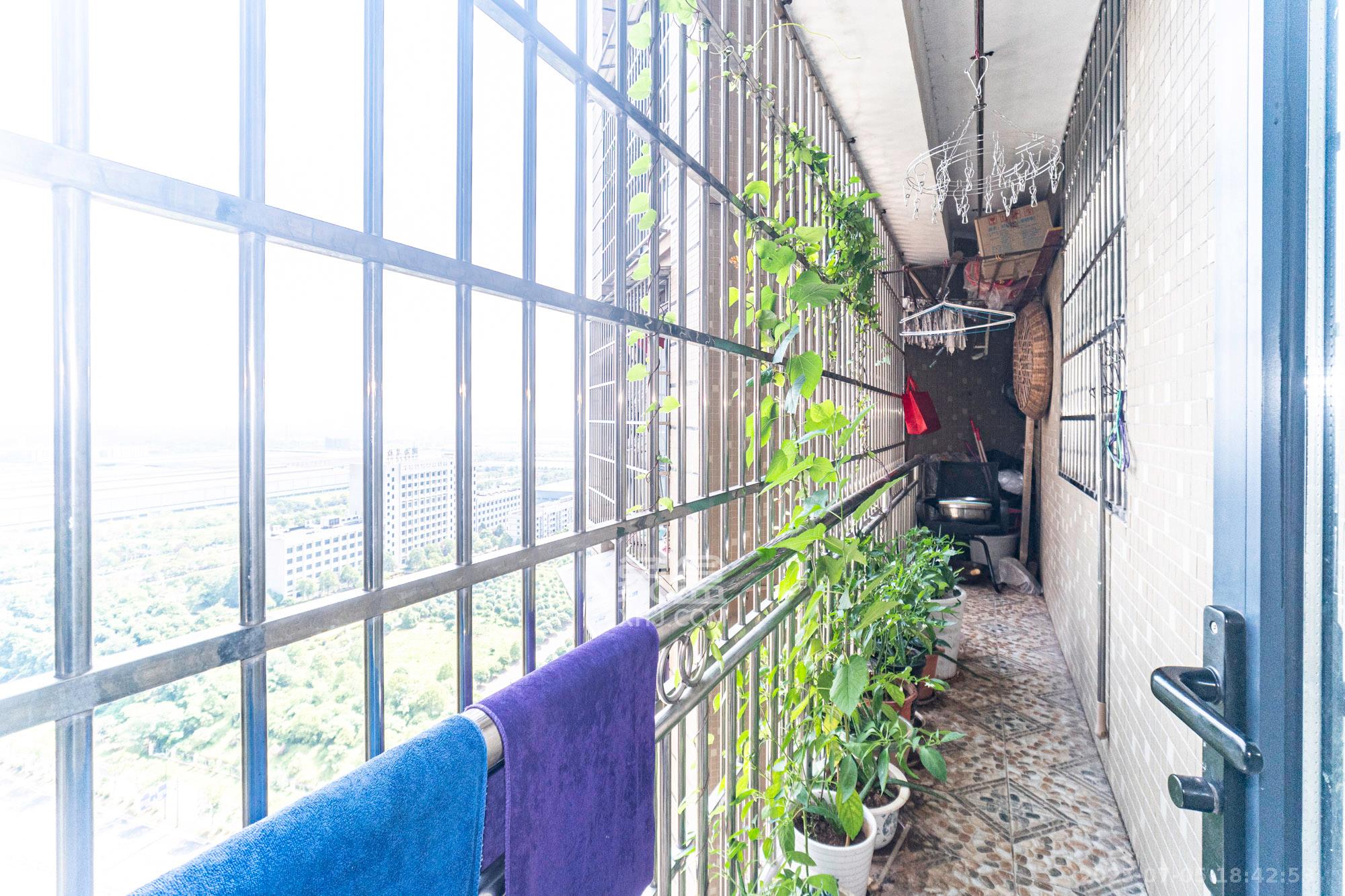 光明城市（星辰青年城）  4室2厅1卫   79.00万阳台