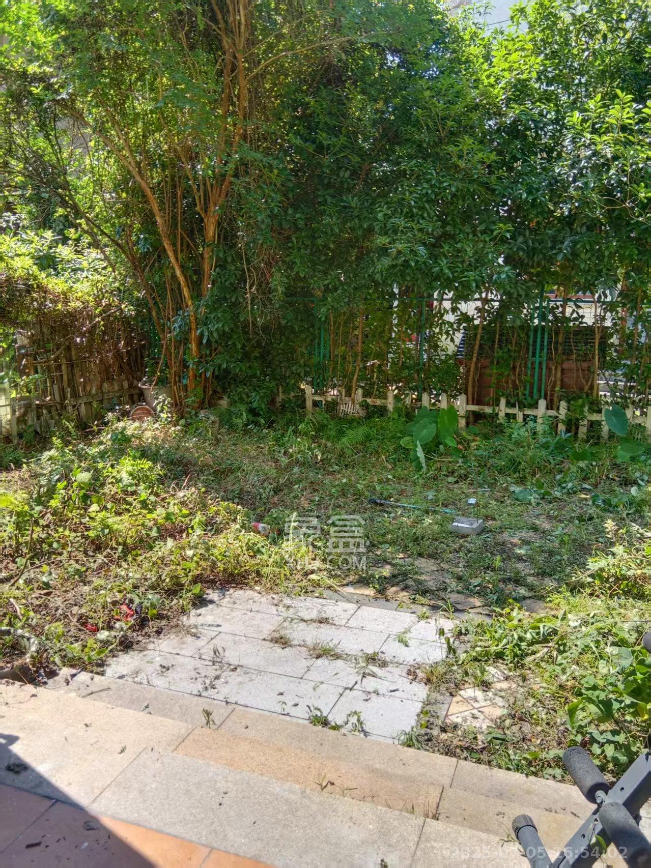 碧桂园威尼斯城 2室2厅1卫 2500.0元/月 碧桂园威尼斯城 2室2厅1卫 2500.0元/月室内图