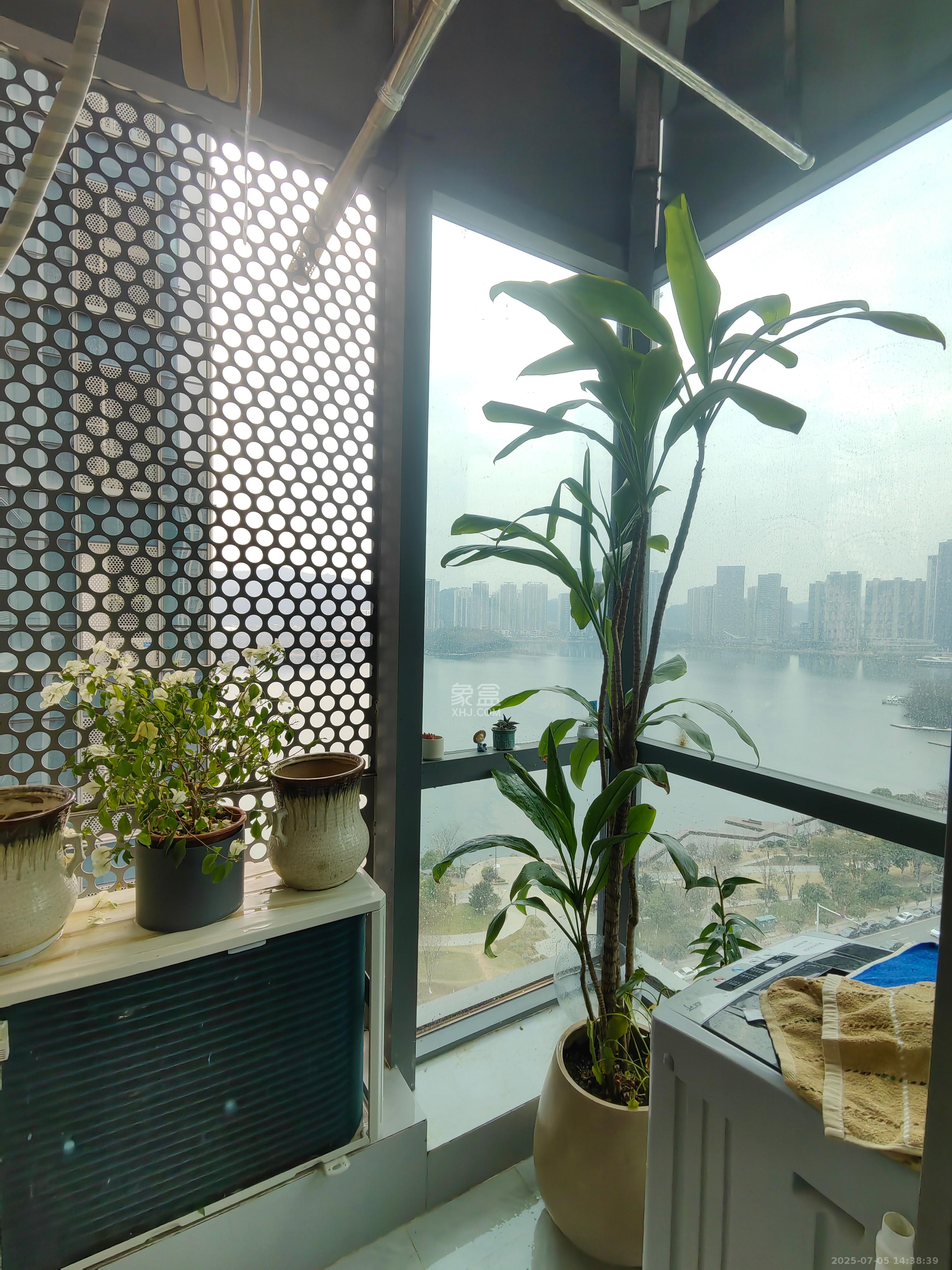 中建宝铂公馆   54.14㎡     2700.00元/月室内图