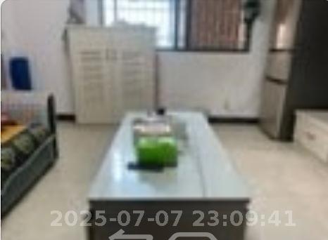 东方银座（东方摩卡）  1室1厅1卫   2300.00元/月
