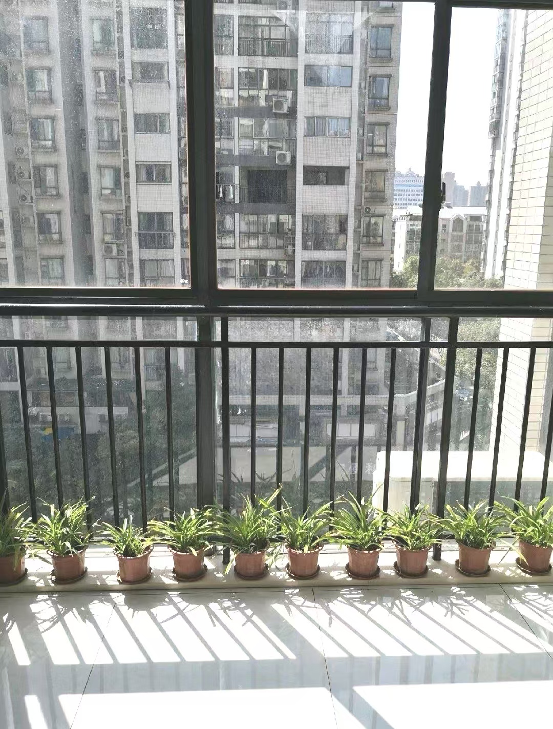 愉景湾东域  3室0厅0卫   2100.00元/月室内图