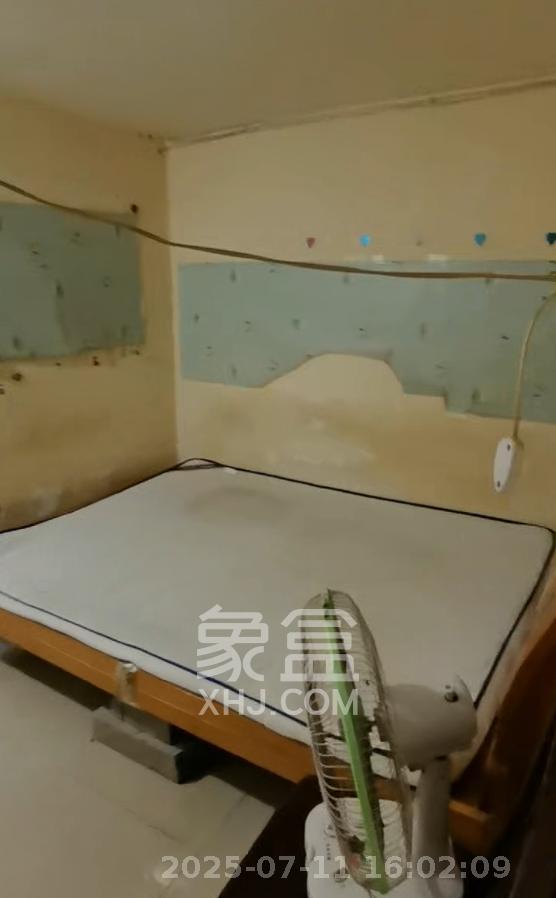 桔园小区1-8片  1室1厅1卫    700.0元/月