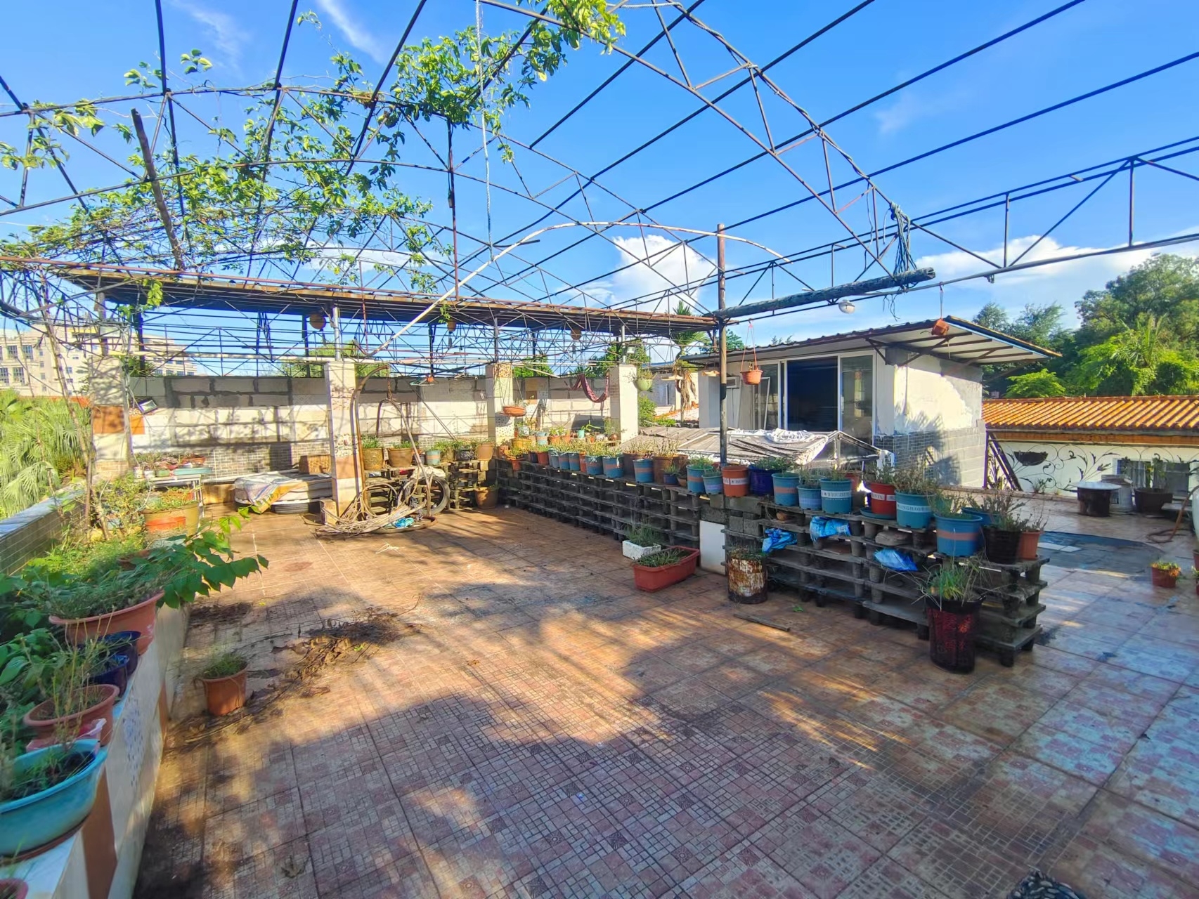 金牛新村  10室2厅4卫   12000.00元/月室内图