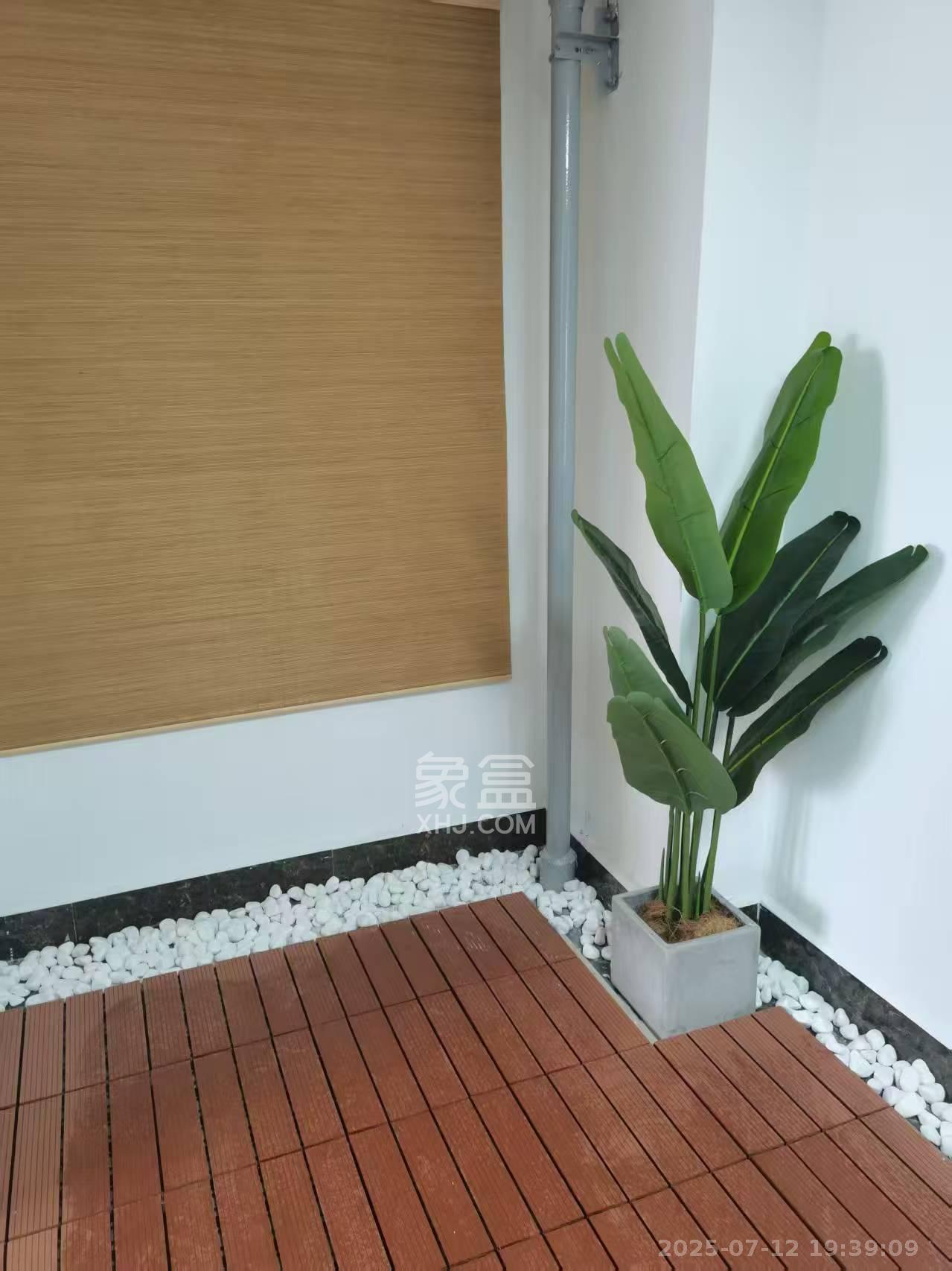 东宸19公馆  1室1厅1卫   2300.00元/月室内图