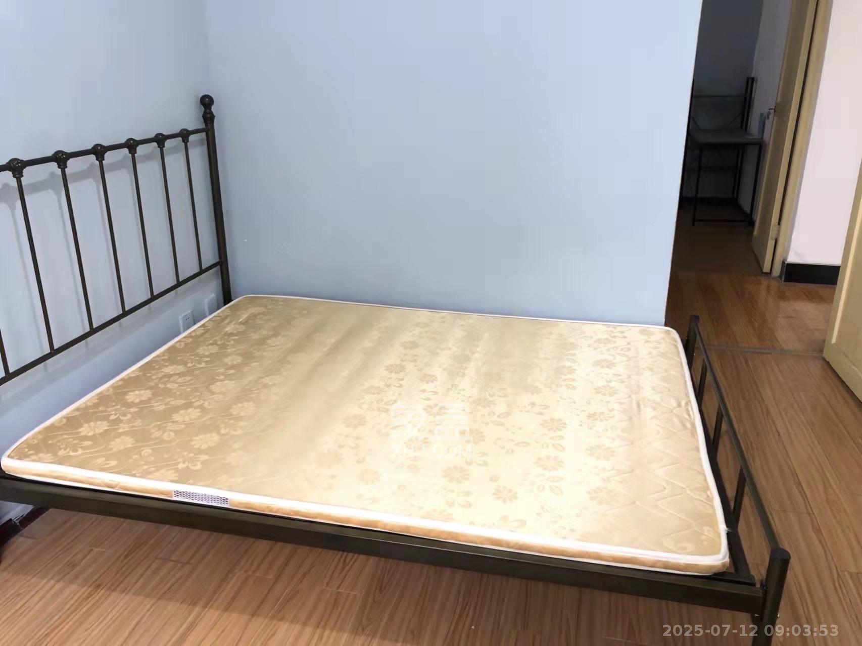 望麓桥回收公司院内  3室2厅1卫    2000.0元/月室内图