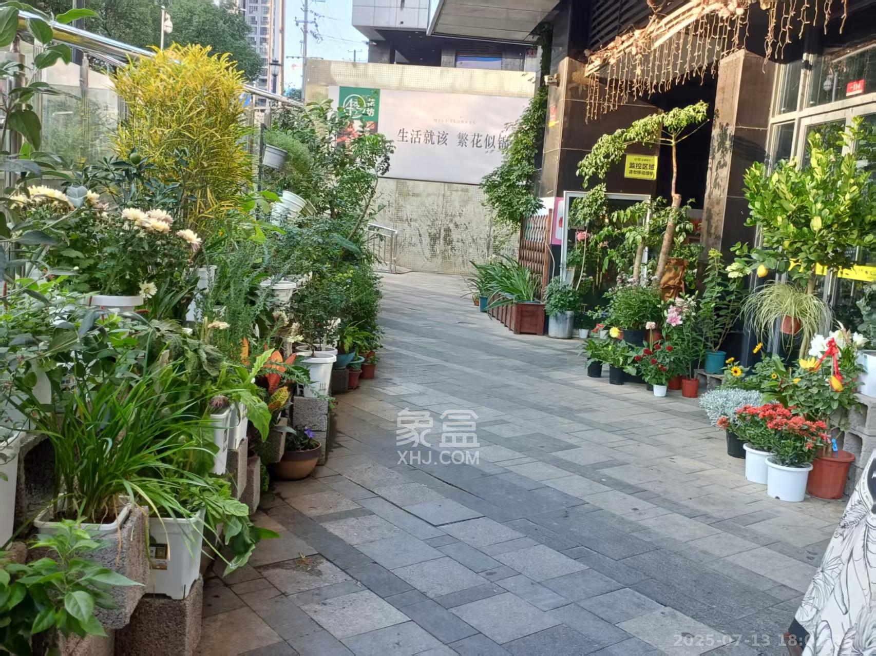 中交里城  1室0厅0卫   2300.00元/月室内图