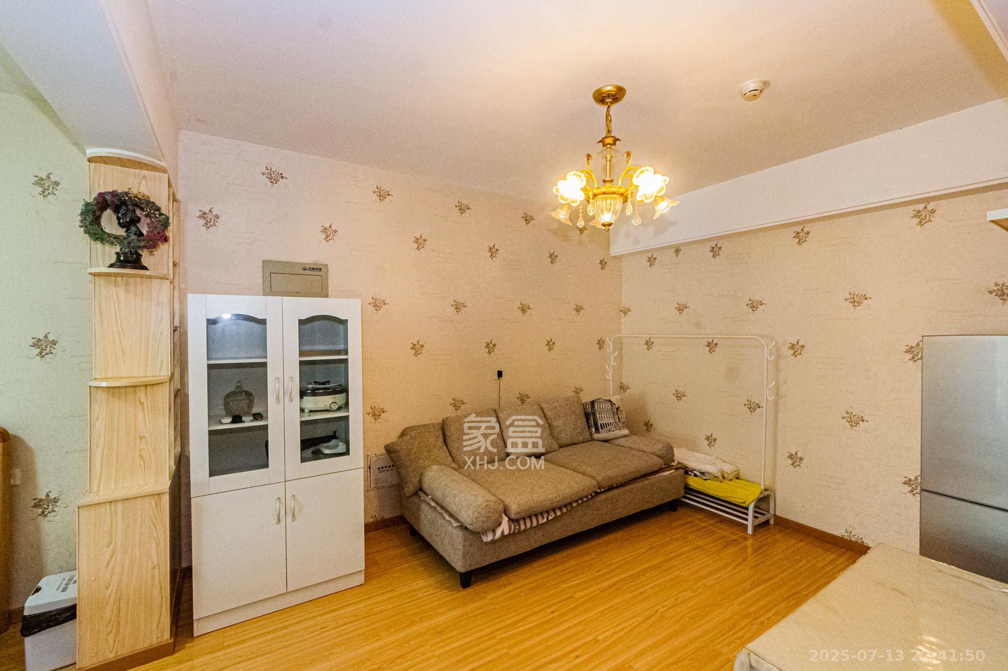 北辰三角洲E3区  1室1厅1卫    49.0万客厅