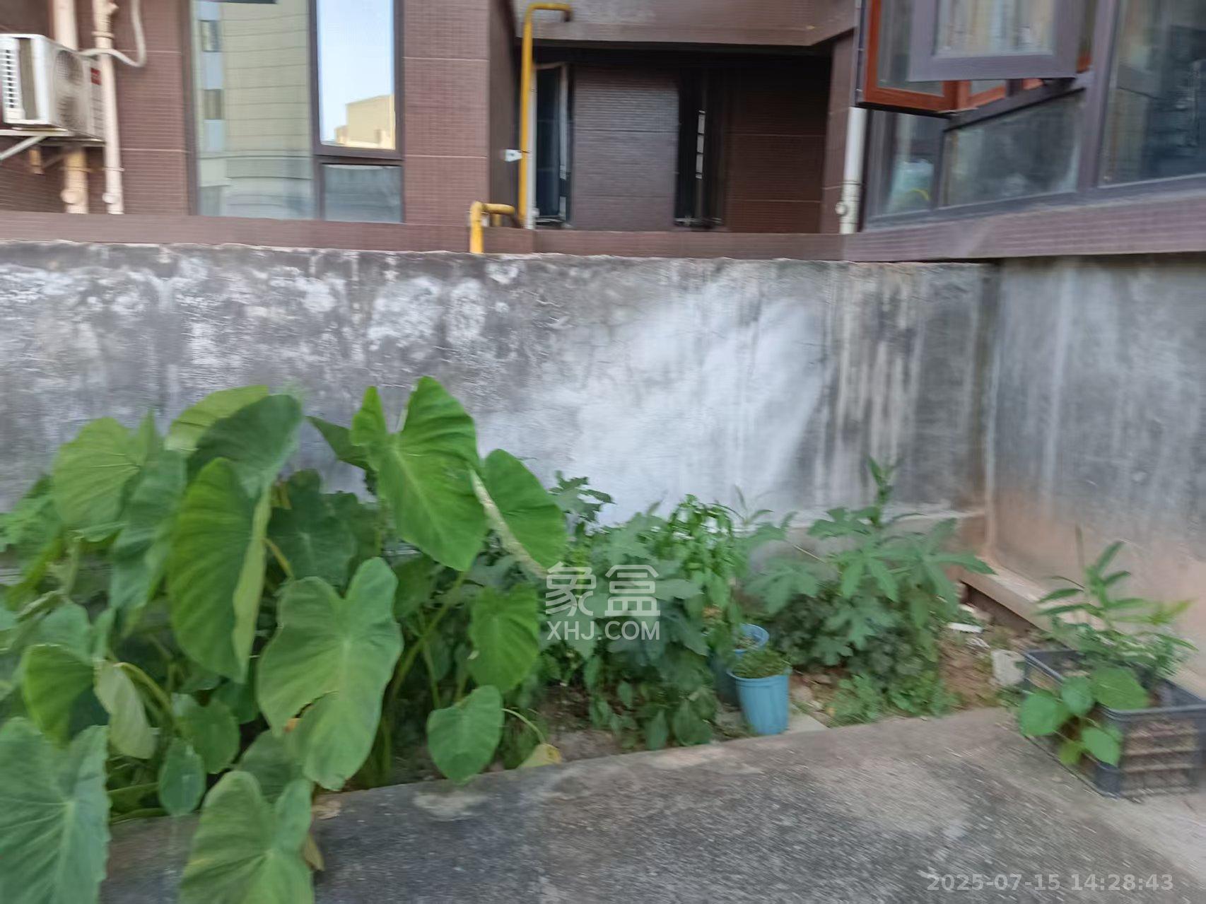 五江天街南区  4室2厅2卫   4200.00元/月室内图