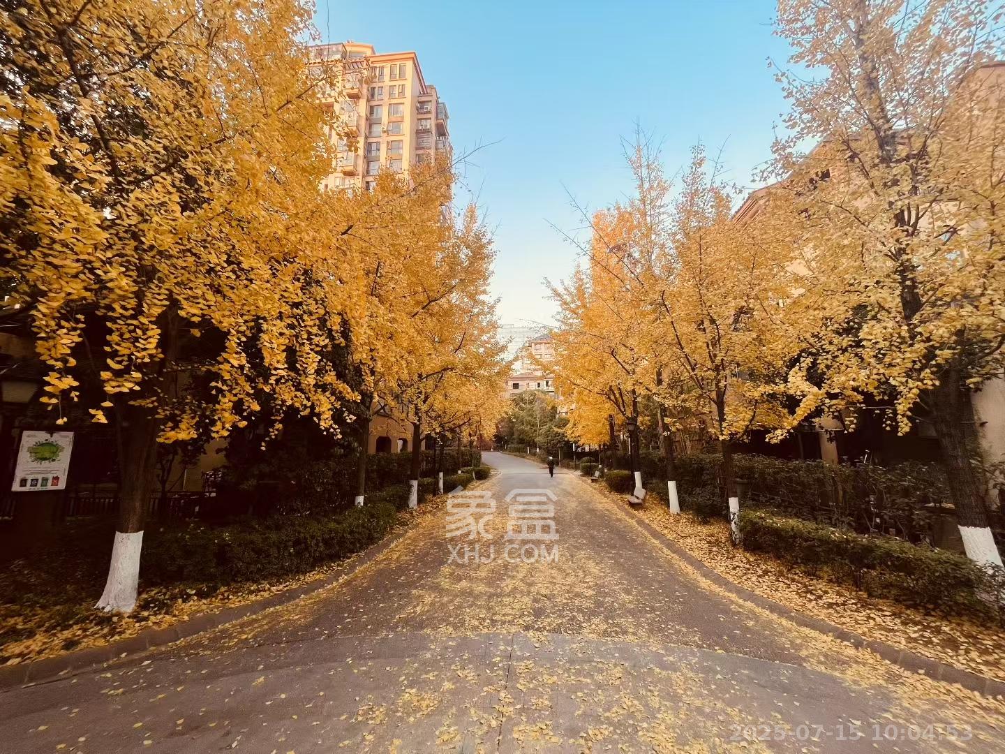 中城丽景香山园  1室1厅1卫    1600.0元/月