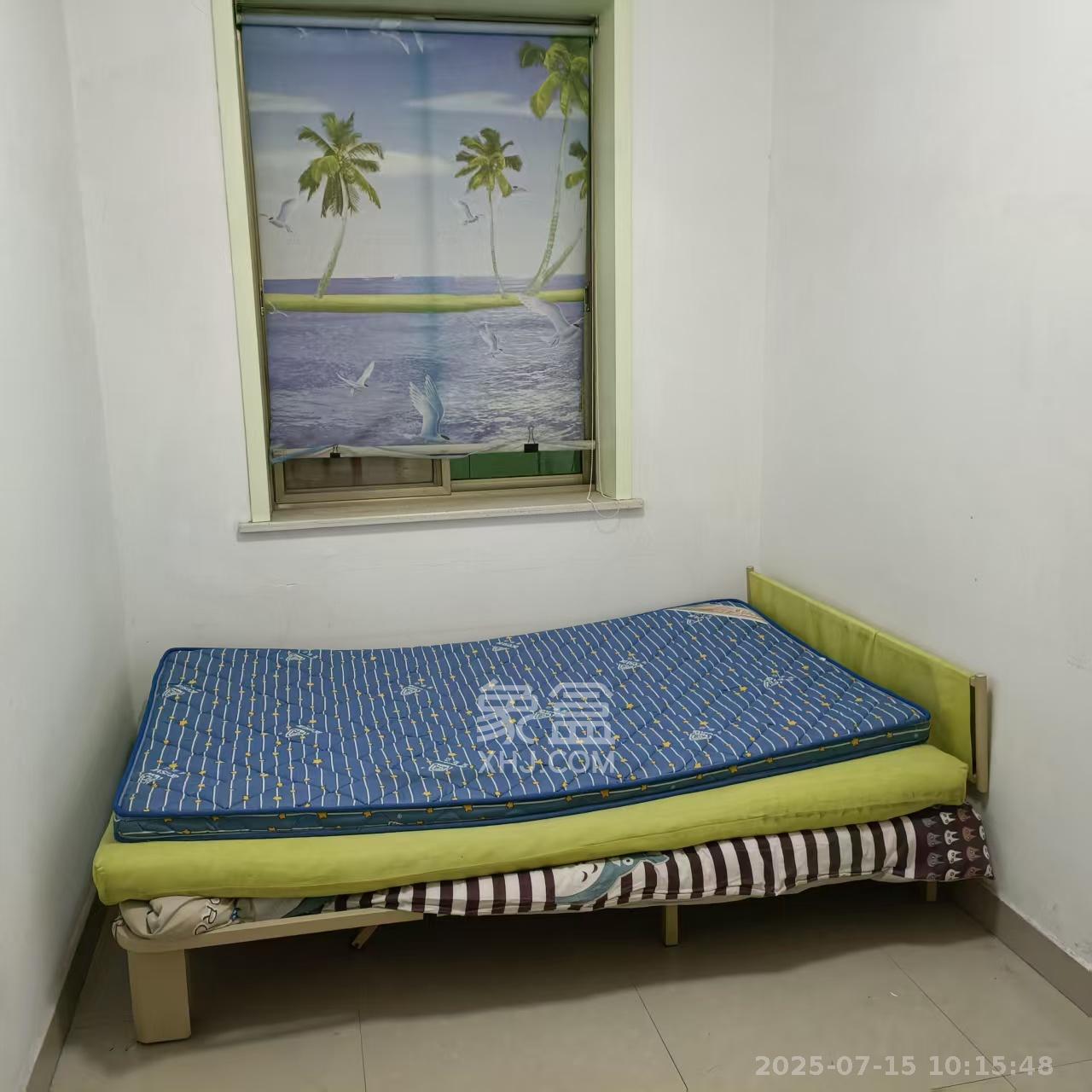 省进出口公司宿舍 3室2厅1卫 1500.0元/月 省进出口公司宿舍 3室2厅1卫 1500.0元/月室内图