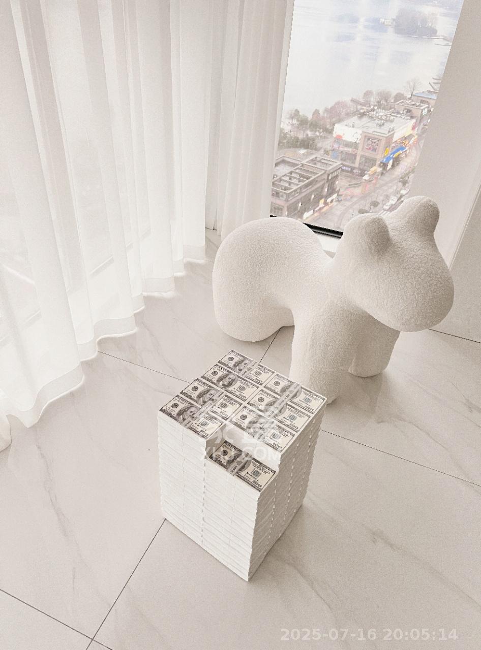 中建梅溪湖中心 2室2厅1卫 4500.0元/月 中建梅溪湖中心 2室2厅1卫 4500.0元/月室内图