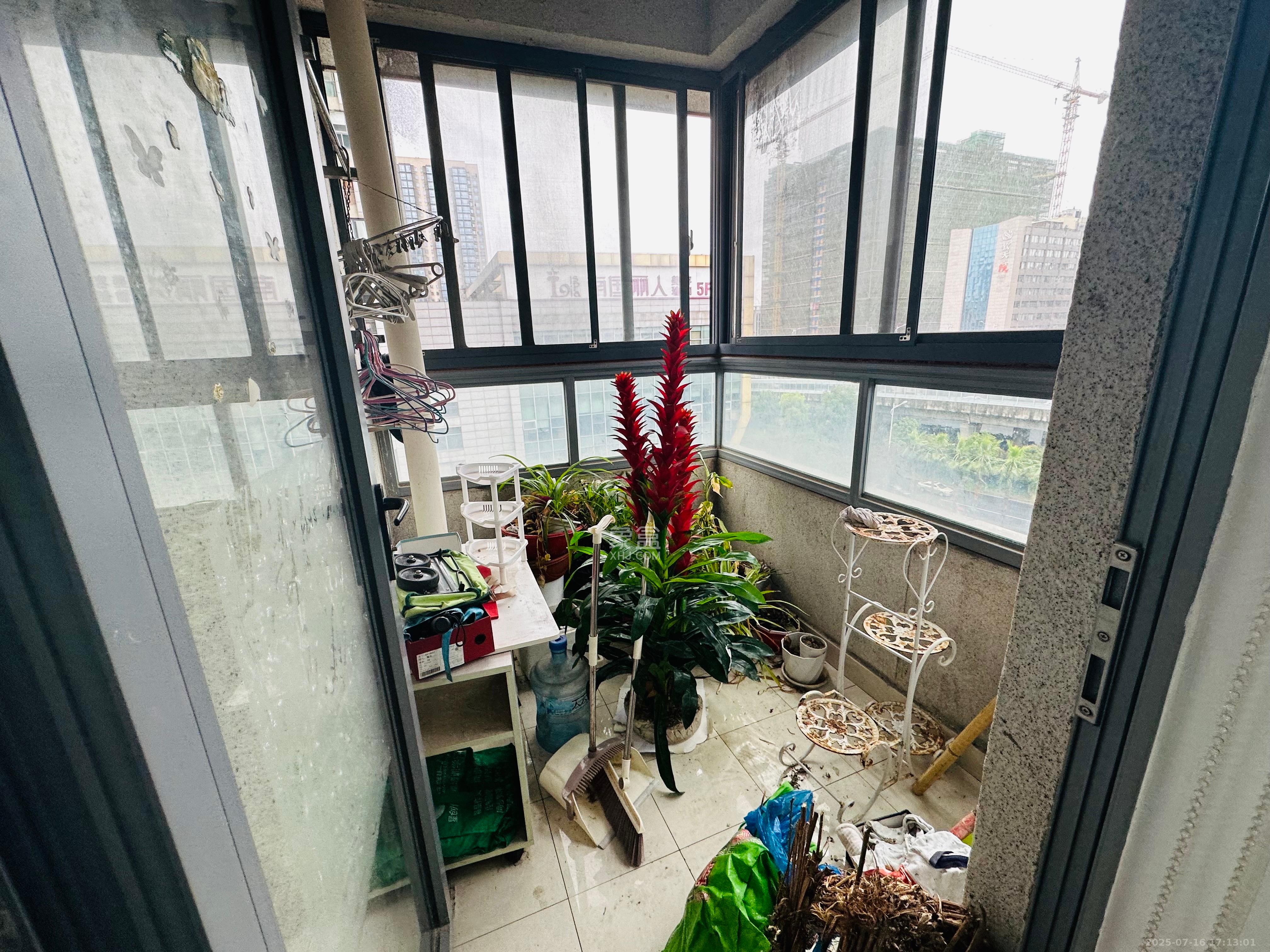 西子一间  1室1厅1卫   2500.00元/月室内图