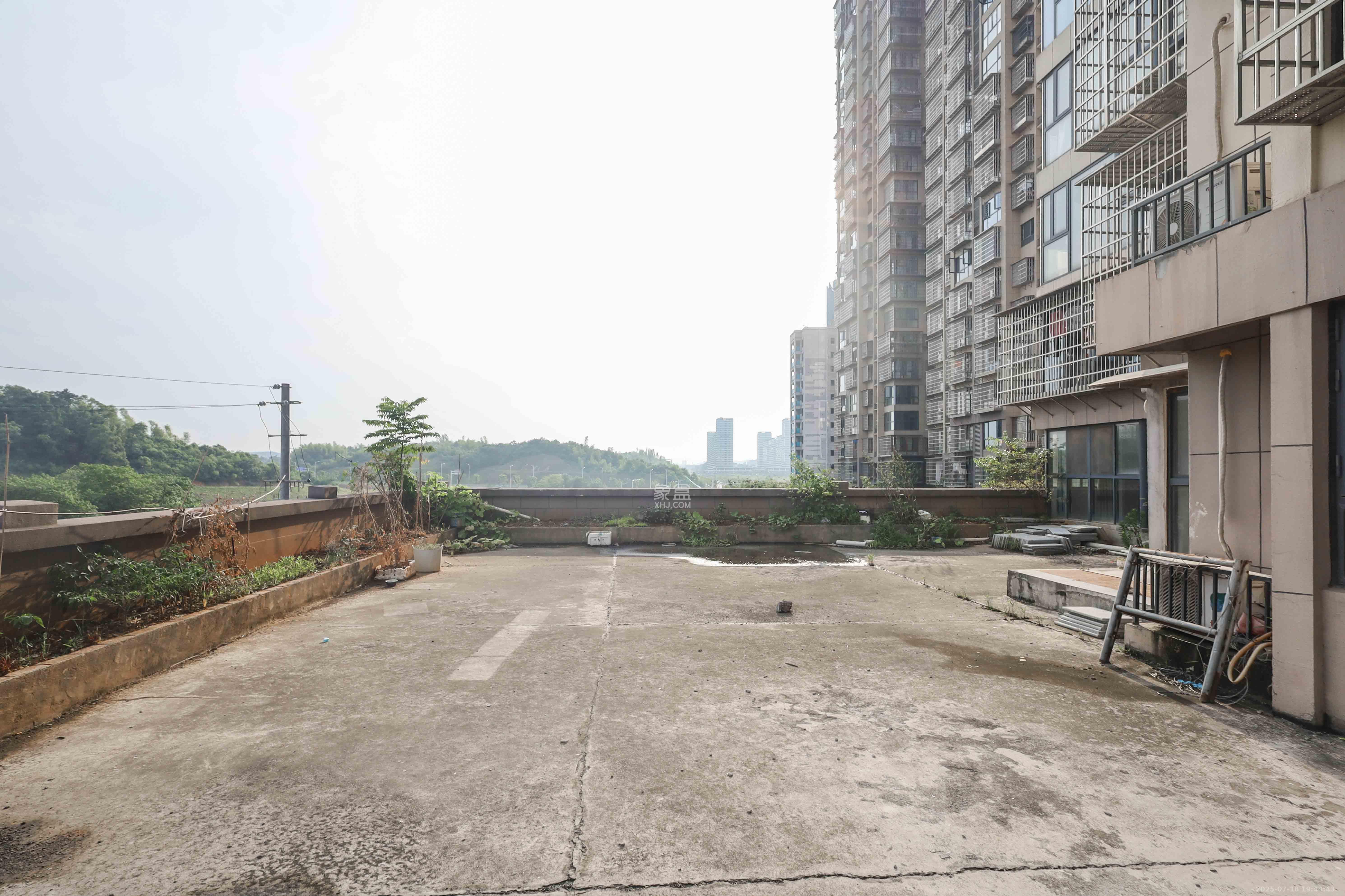 枫林雅苑（雷锋机电市场二期）  1室1厅1卫    1900.0元/月户型图