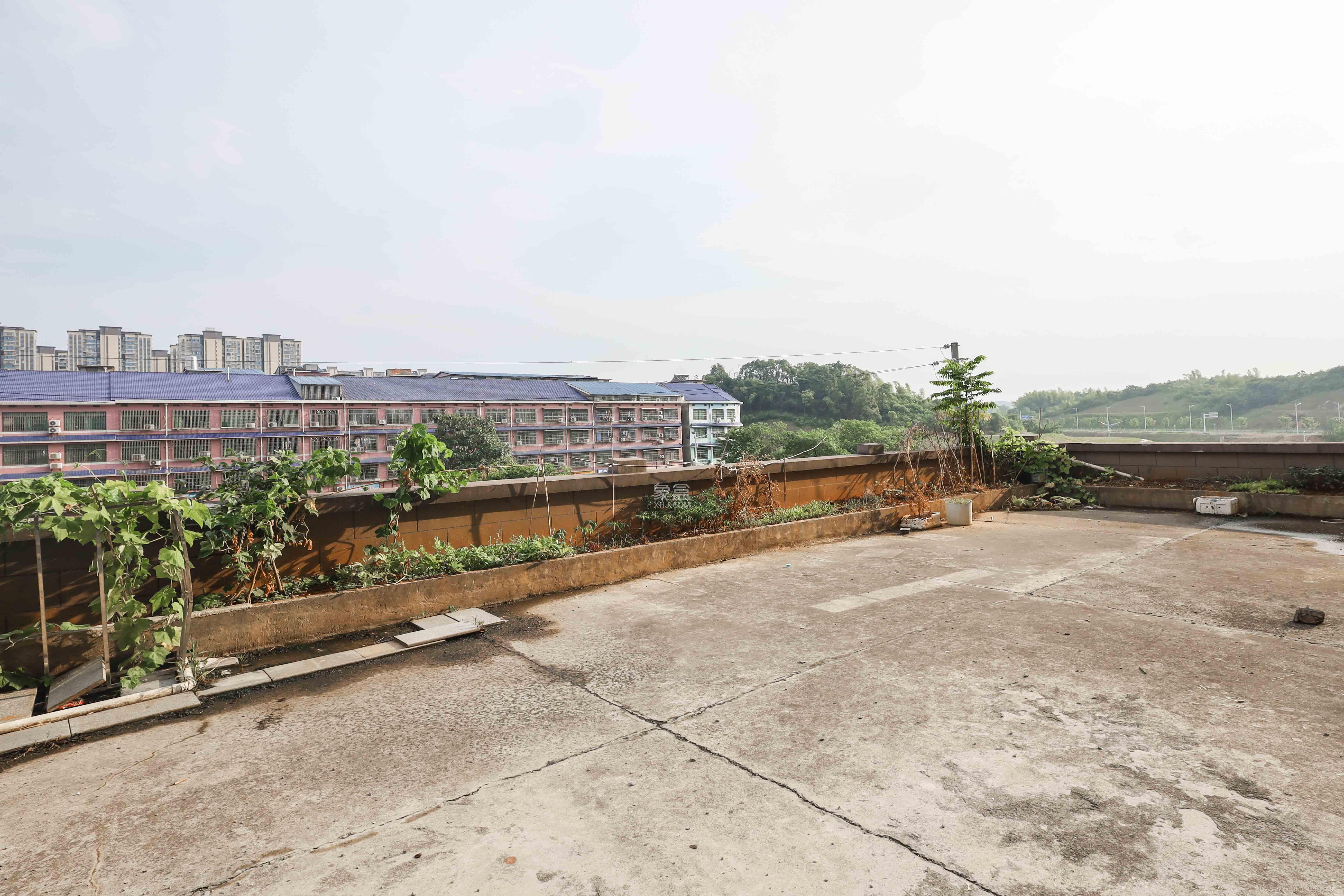 枫林雅苑（雷锋机电市场二期）  1室1厅1卫    1900.0元/月户型图