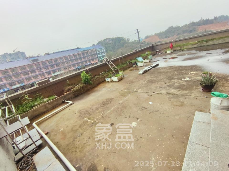 枫林雅苑（雷锋机电市场二期）  3室2厅1卫    2200.0元/月室内图