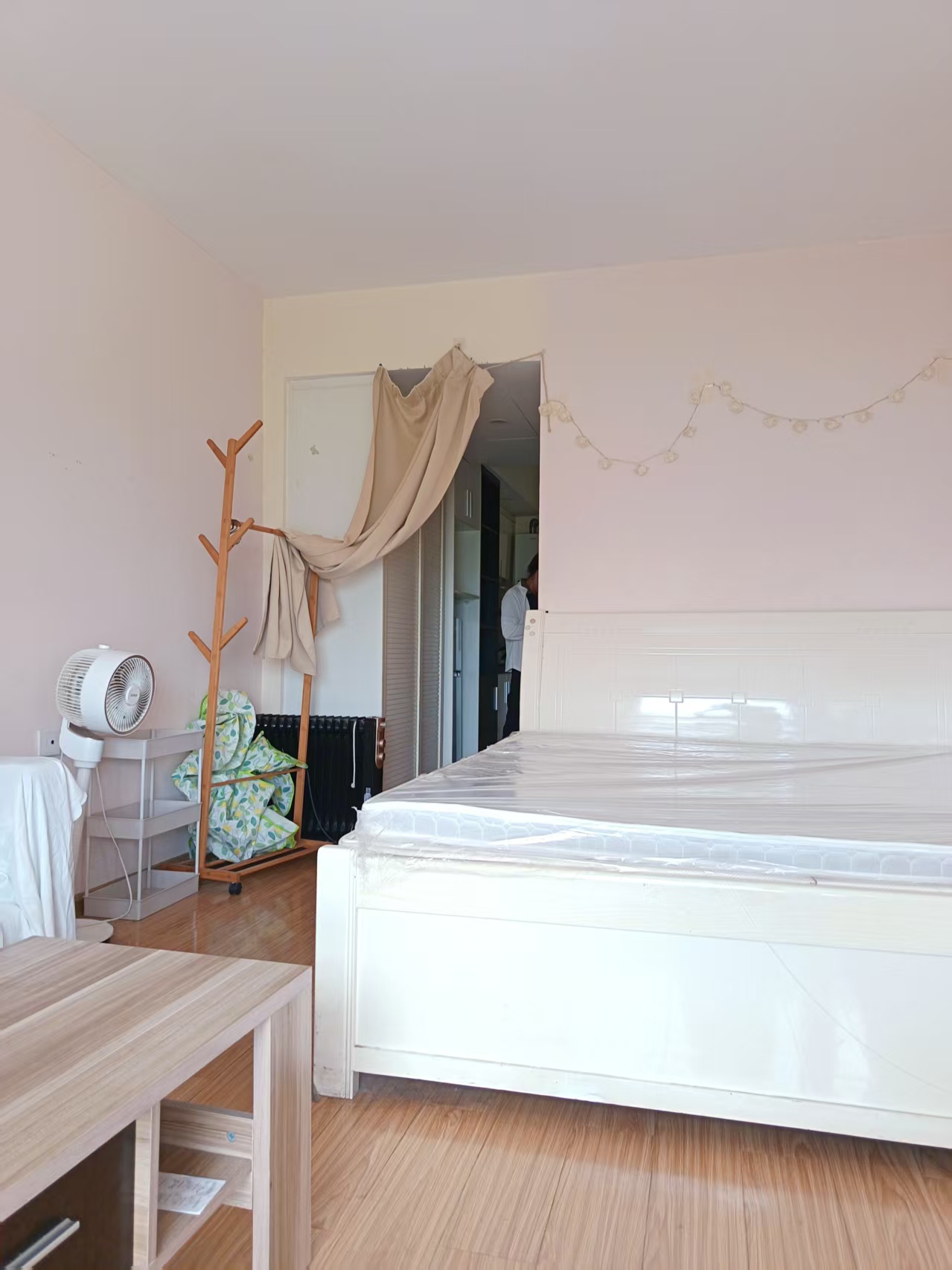 阳光青年城  1室1厅1卫    1000.0元/月 阳光青年城  1室1厅1卫    1000.0元/月室内图