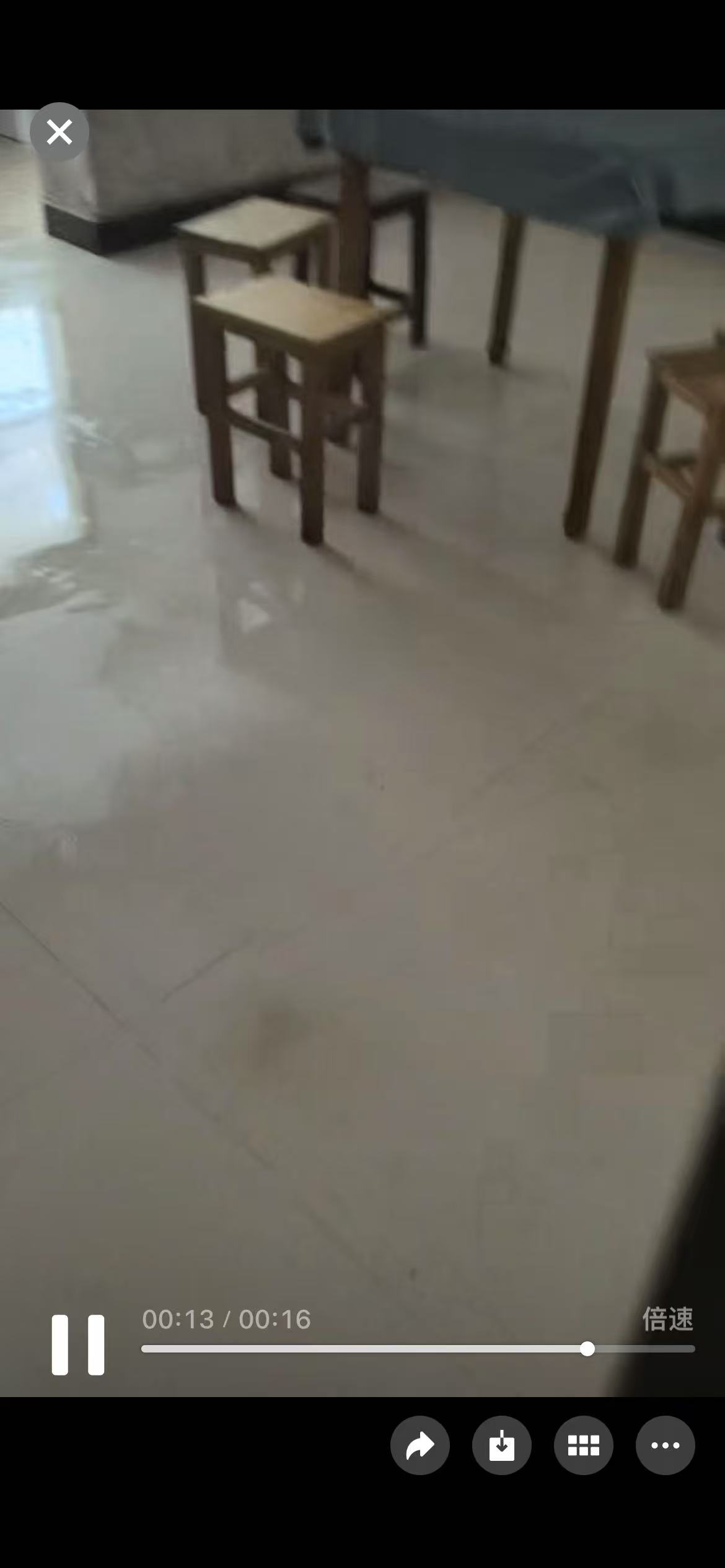 娄星区白塘路肉联厂  2室1厅1卫    900.0元/月