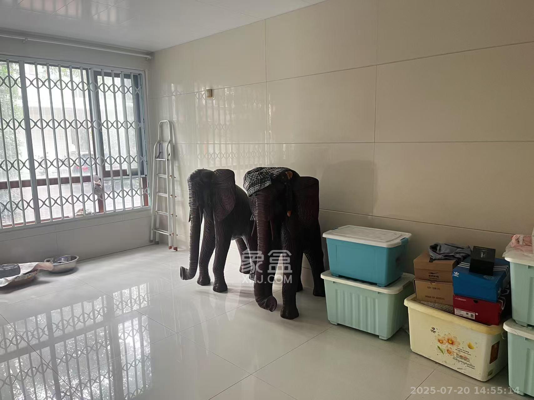 梦泽园 4室2厅3卫 11800.0元/月 梦泽园 4室2厅3卫 11800.0元/月室内图