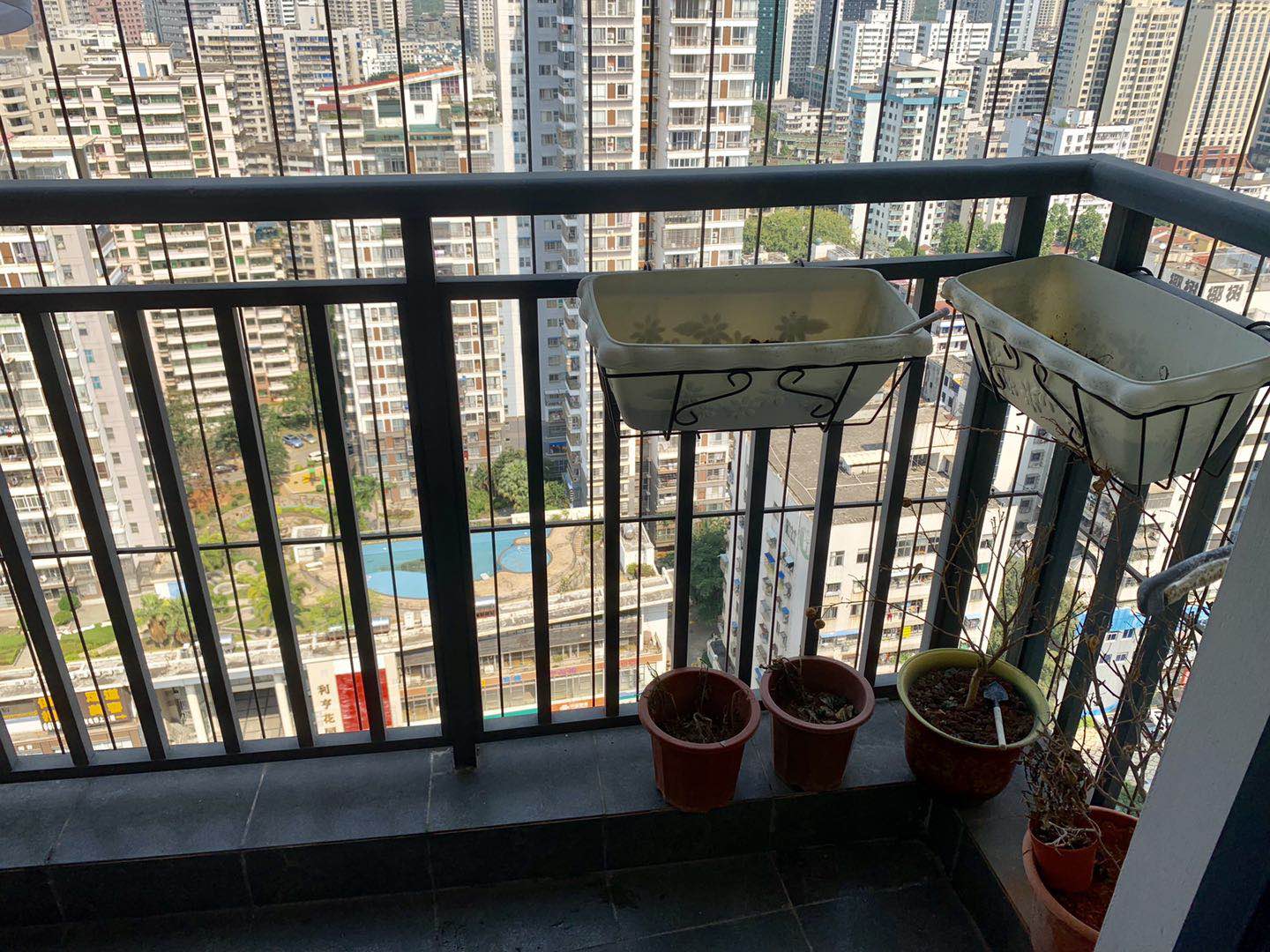 椰岛广场  1室1厅1卫    1900.0元/月 椰岛广场  1室1厅1卫    1900.0元/月室内图