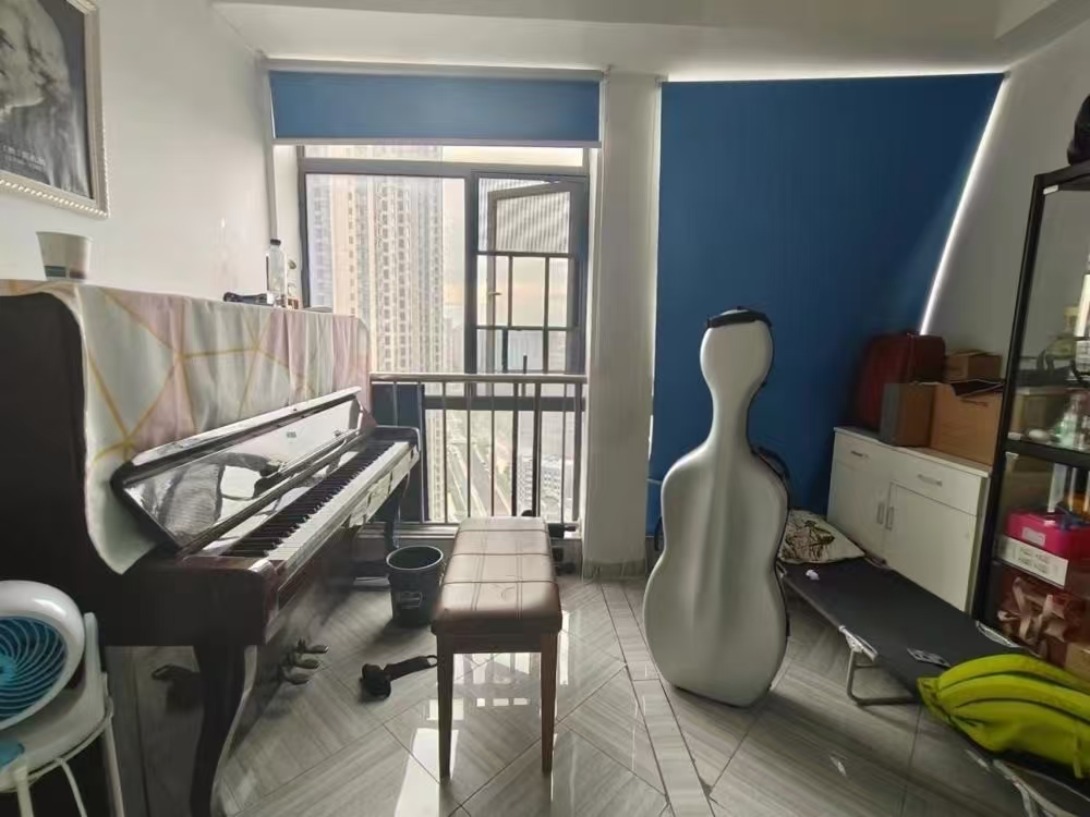 流金岁月-华晨国际  2室2厅1卫    58.0万室内图