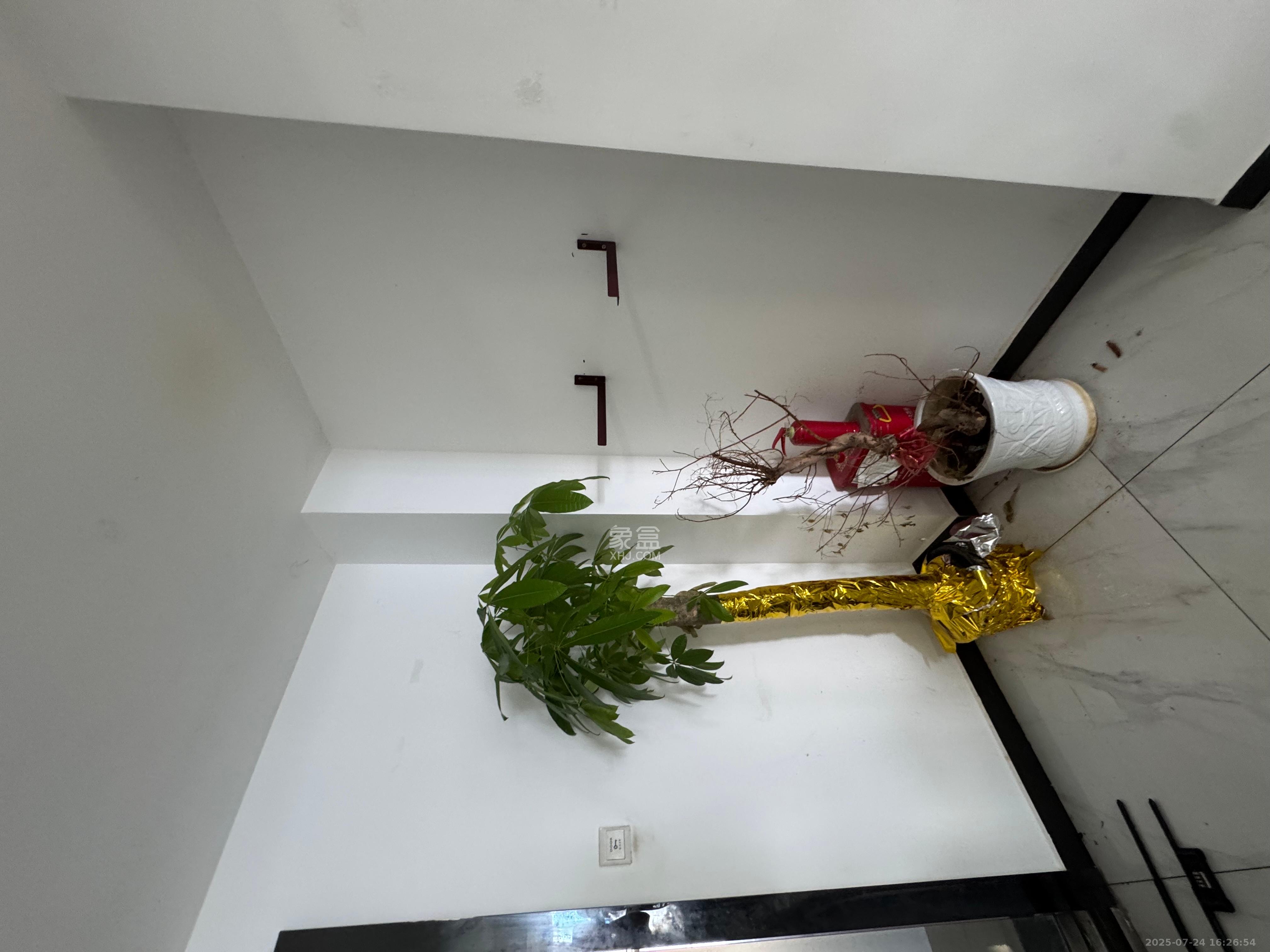 星大峰汇商务楼 1室1厅1卫 1800.0元/月 星大峰汇商务楼 1室1厅1卫 1800.0元/月室内图