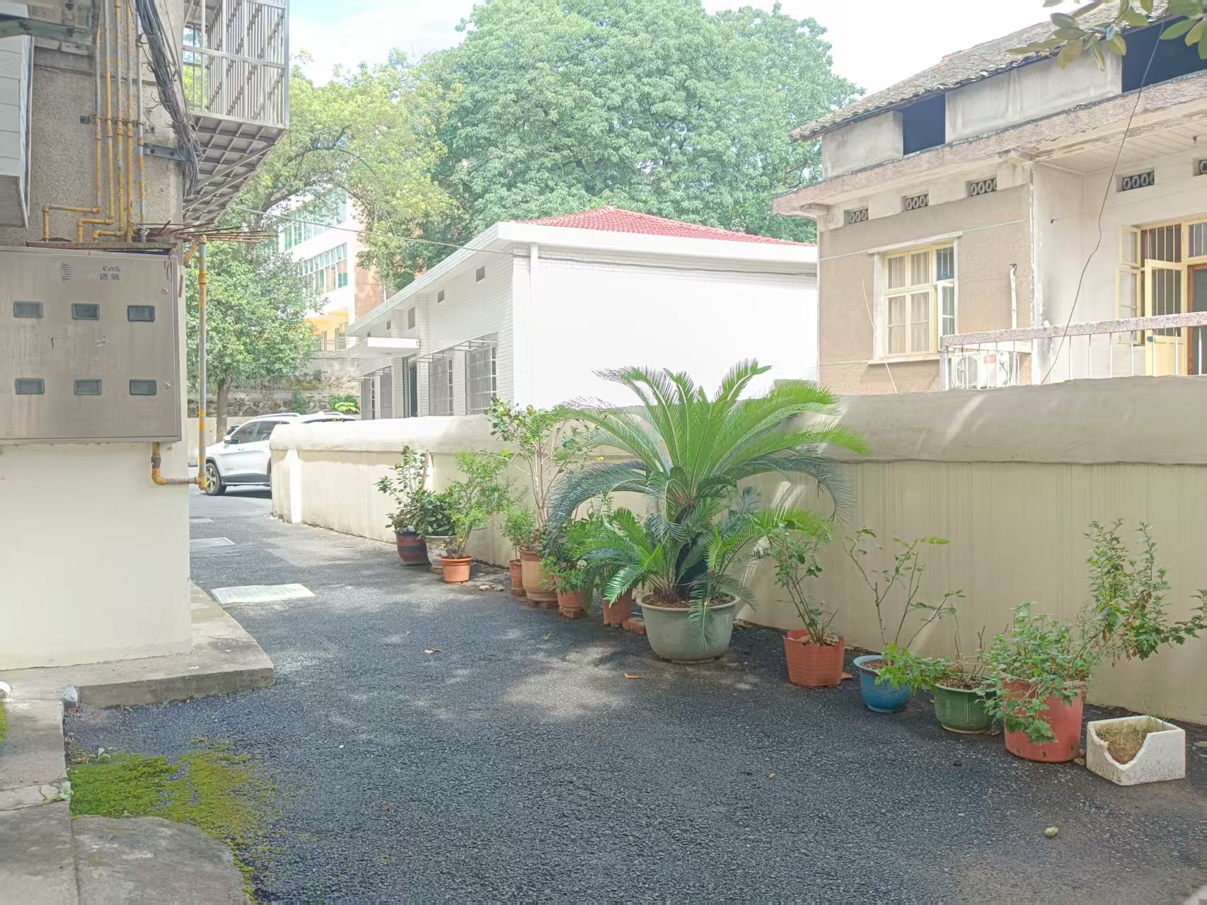 赫山区卫生健康局 3室2厅1卫 1000.0元/月 赫山区卫生健康局 3室2厅1卫 1000.0元/月小区图