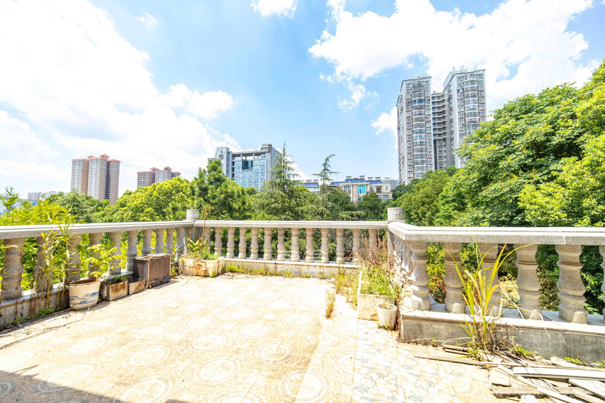 泰格林纸  6室2厅6卫   498.00万阳台