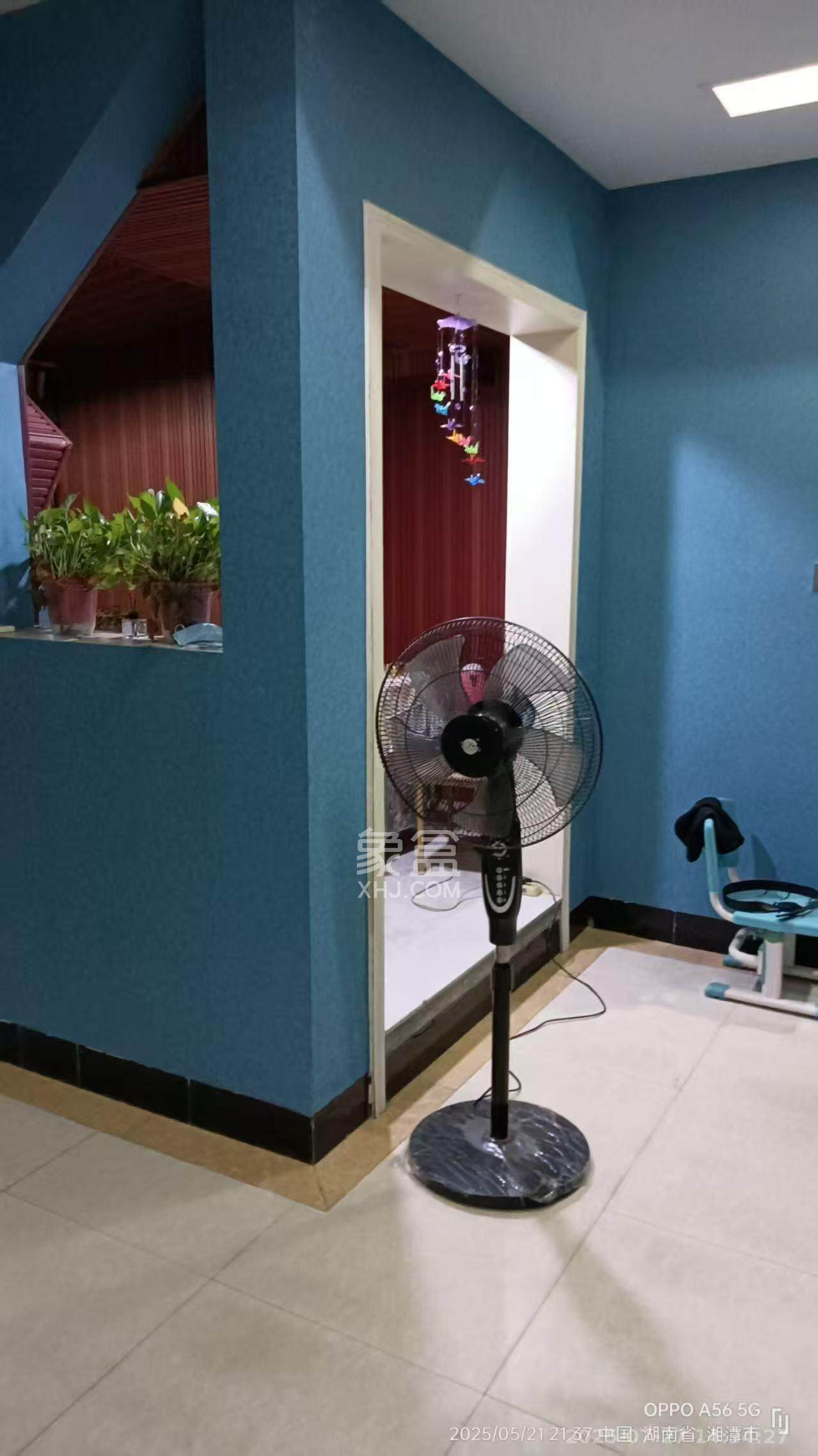 盛世康城 1室1厅1卫 800.0元/月 盛世康城 1室1厅1卫 800.0元/月室内图