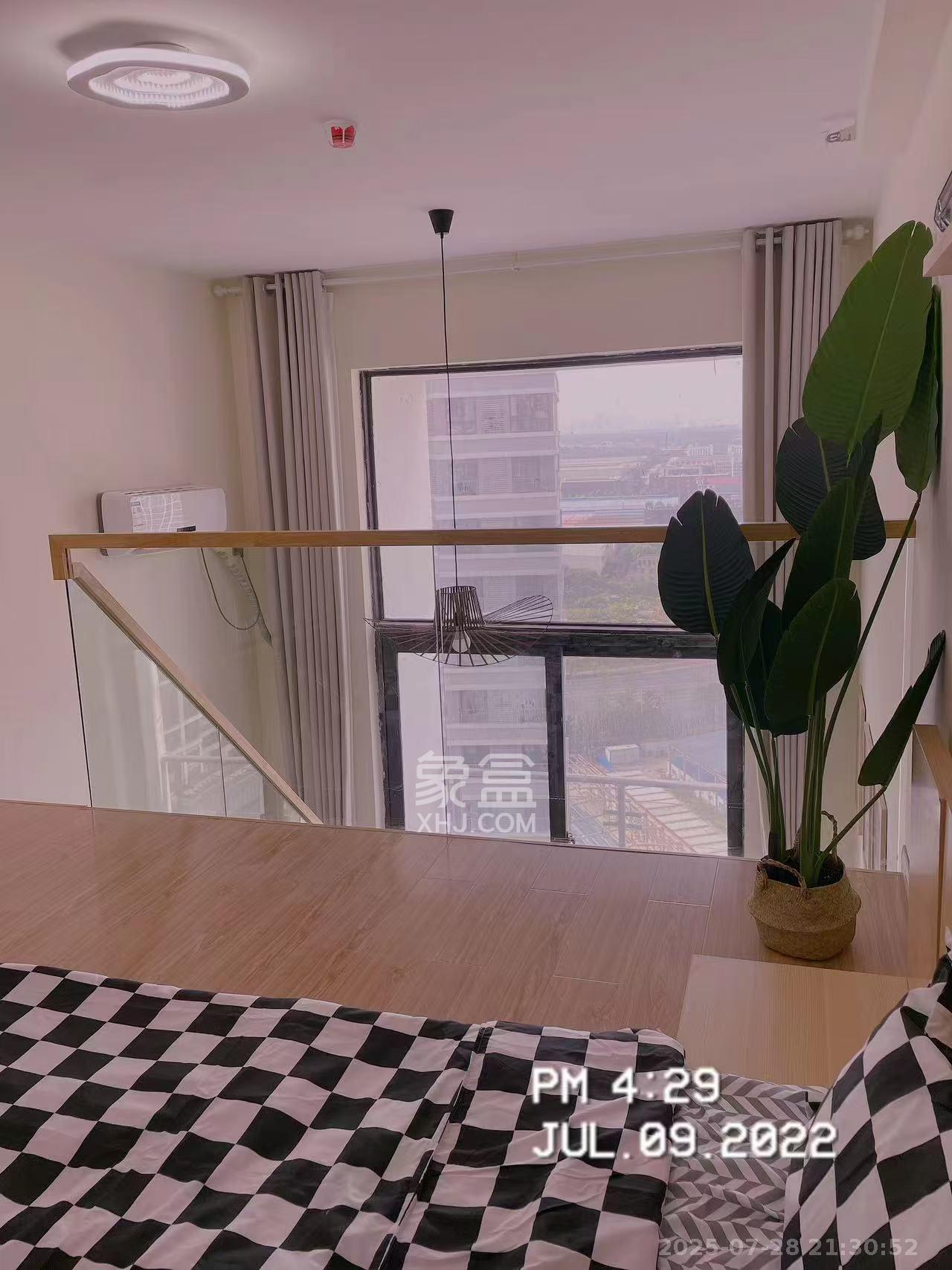 碧桂园星荟 1室1厅1卫 1500.0元/月 碧桂园星荟 1室1厅1卫 1500.0元/月室内图