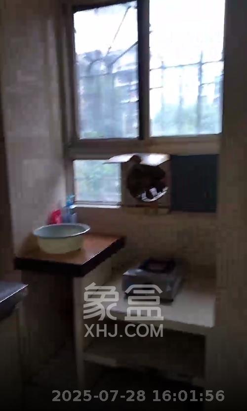 向东南社区 2室1厅1卫 1600.0元/月 向东南社区 2室1厅1卫 1600.0元/月室内图