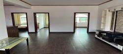 新海林场  3室2厅1卫   1800.00元/月