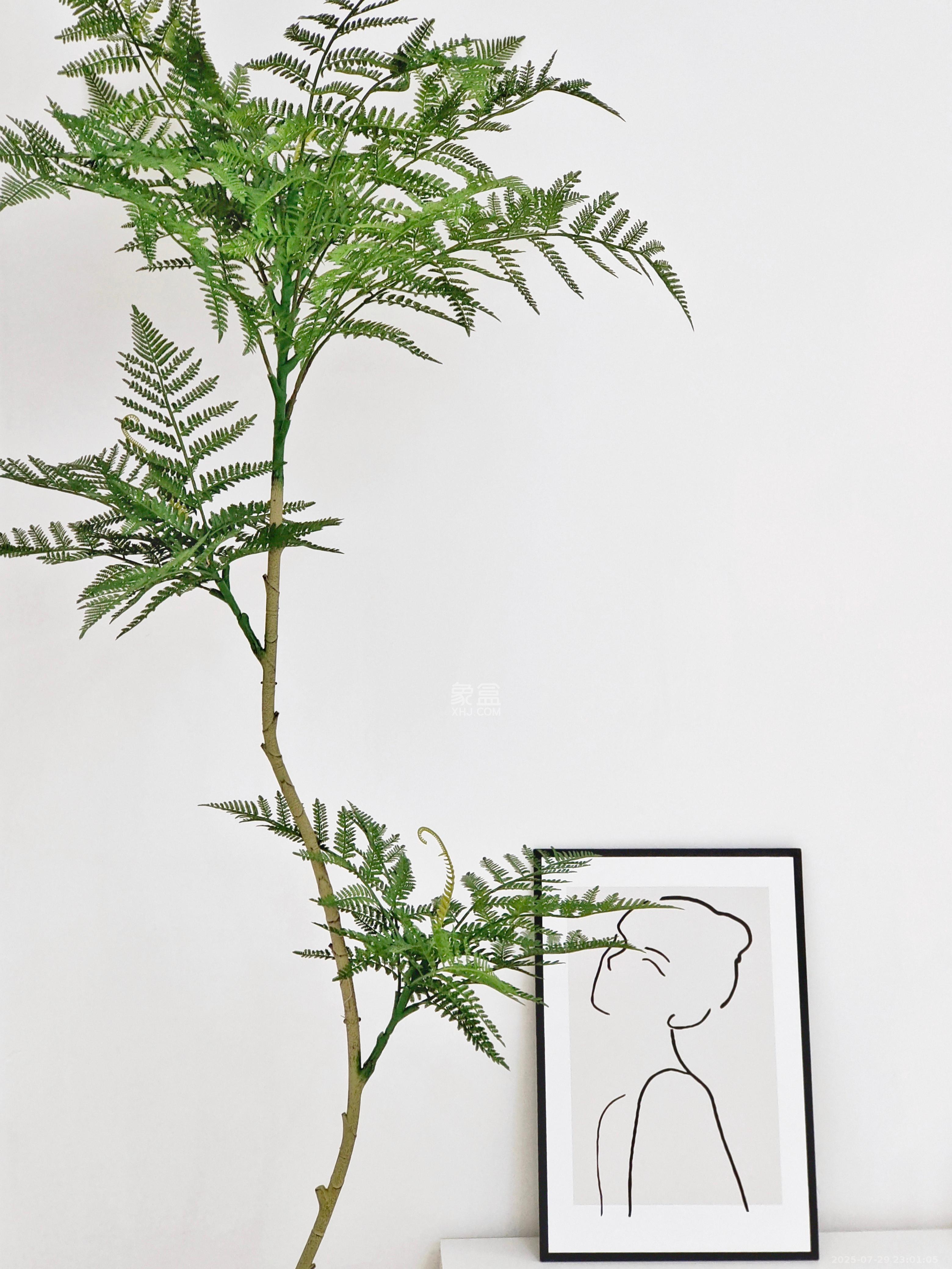 西子一间  1室1厅1卫    2280.0元/月室内图