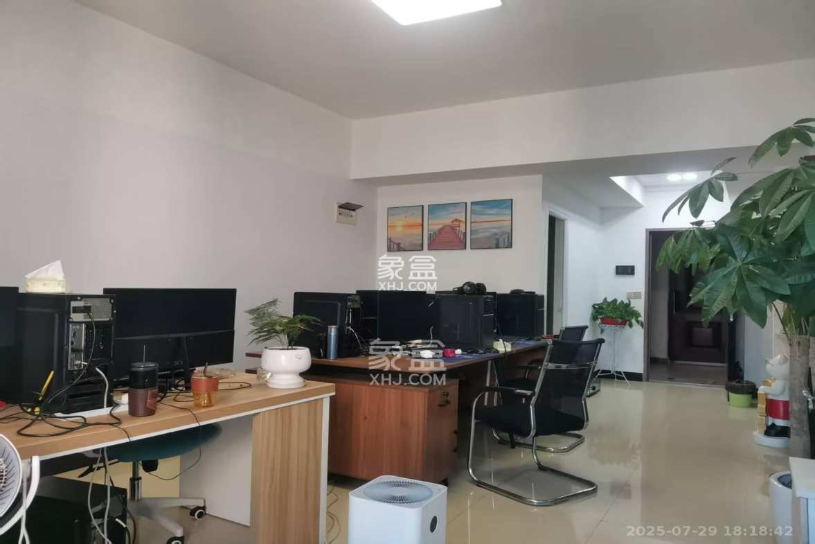 新世界广场 1室1厅1卫 1800.0元/月 新世界广场 1室1厅1卫 1800.0元/月室内图