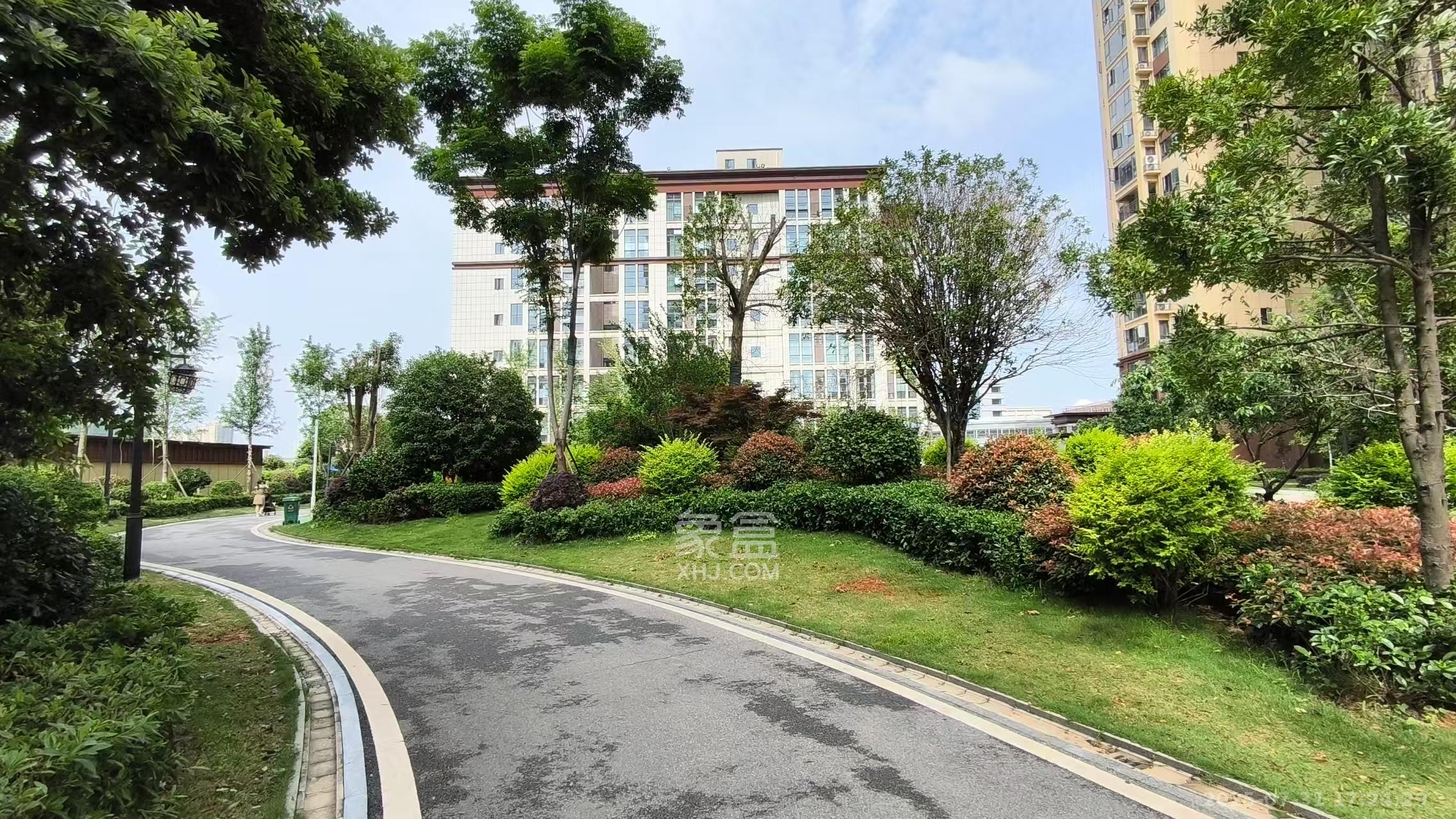 佳俊万家府  2室1厅1卫    1500.0元/月室内图1