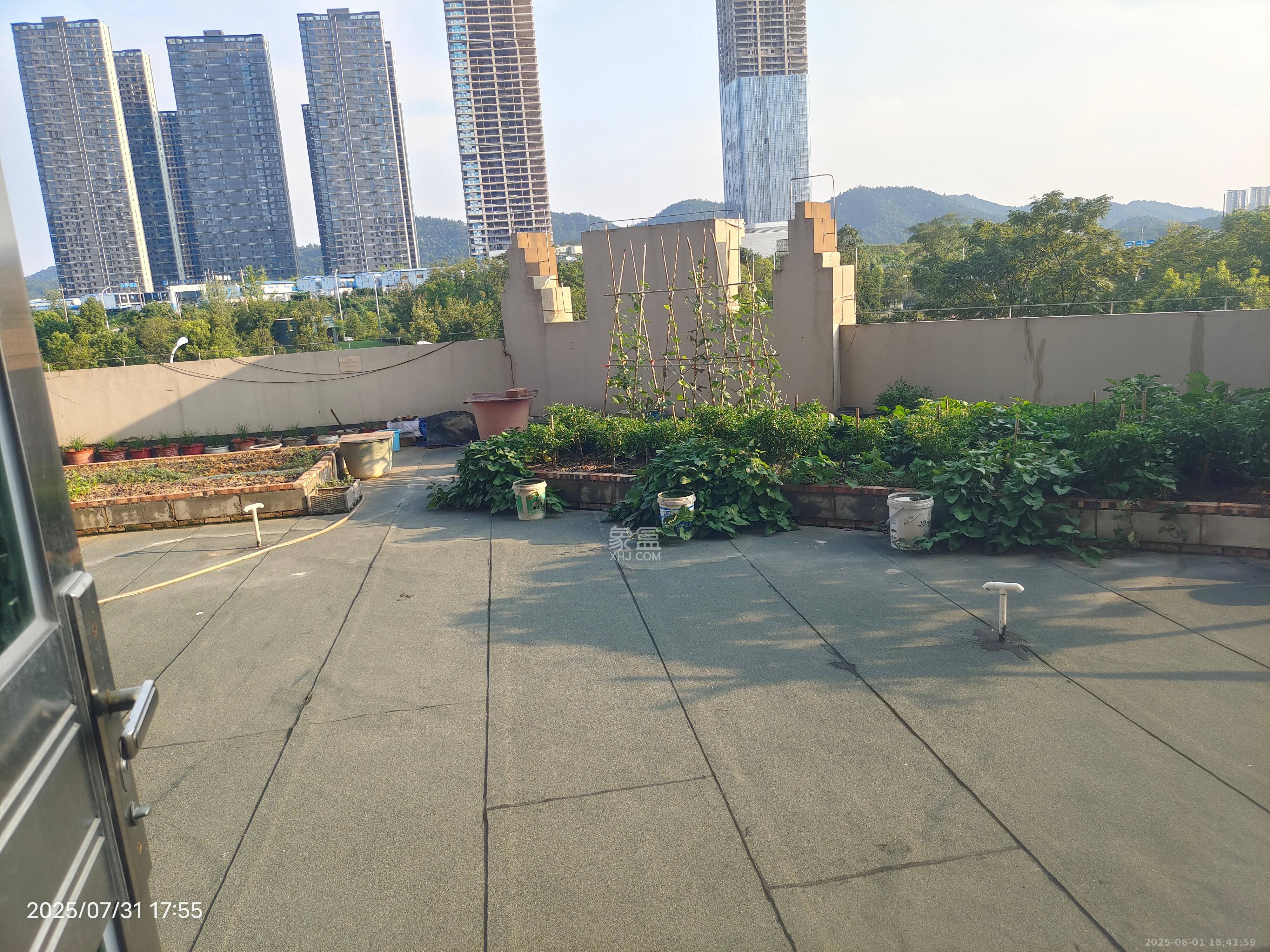 嘉顺苑  2室2厅1卫   2000.00元/月室内图