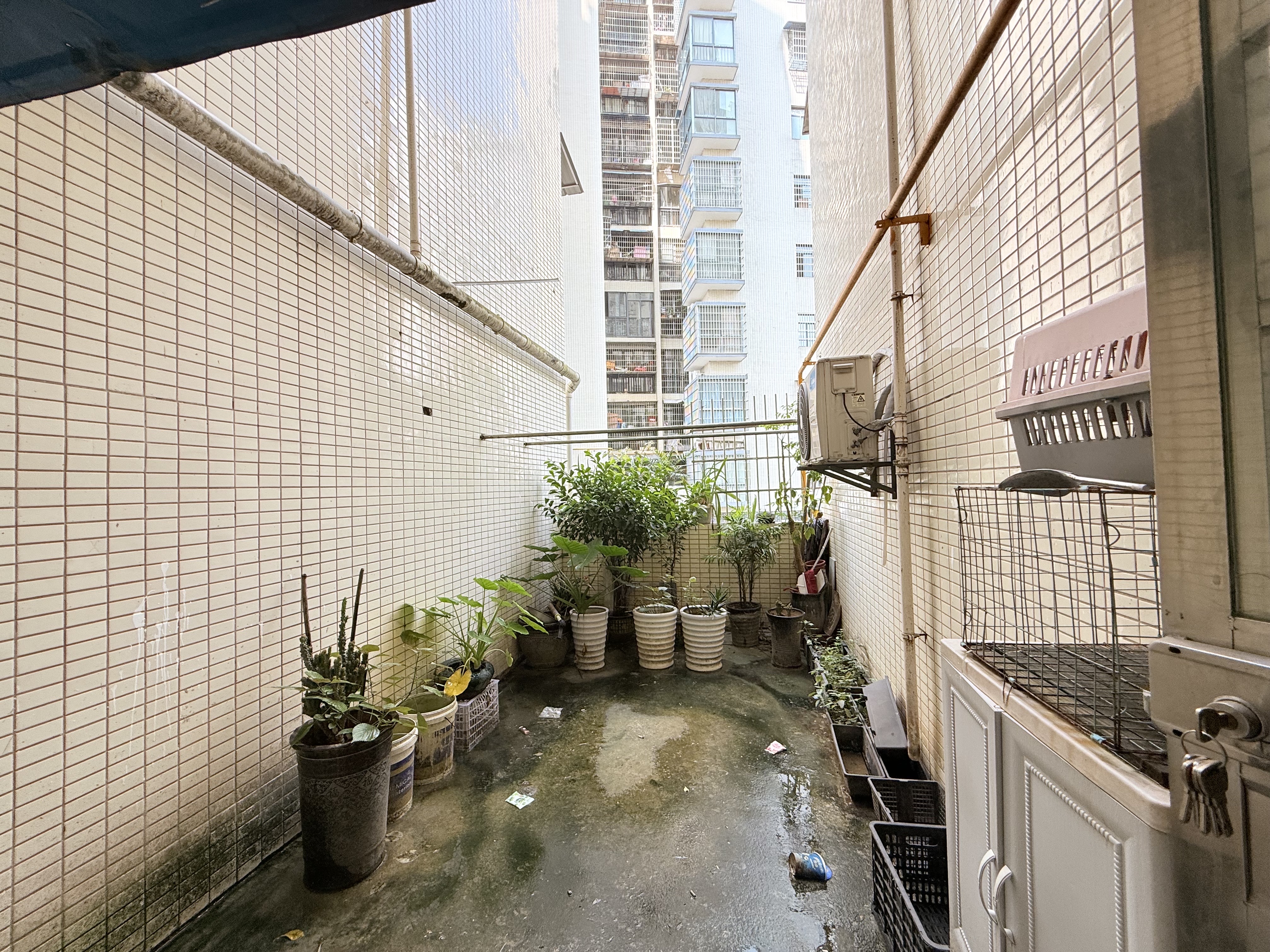 熙城春天  3室2厅2卫   2000.00元/月
