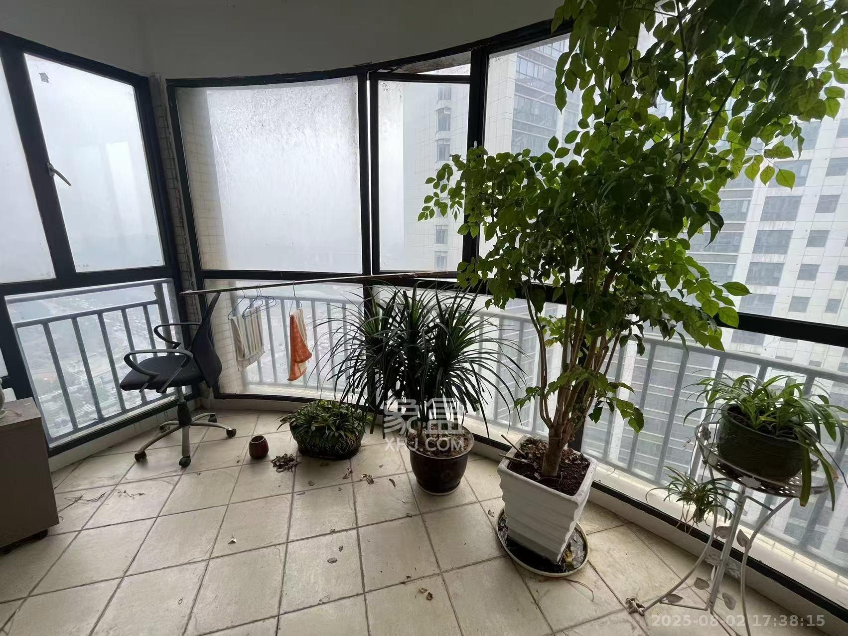 金麓国际 3室2厅2卫 4000.0元/月 金麓国际 3室2厅2卫 4000.0元/月室内图