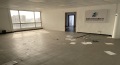 龙珠大厦  3室2厅1卫   3600.00元/月