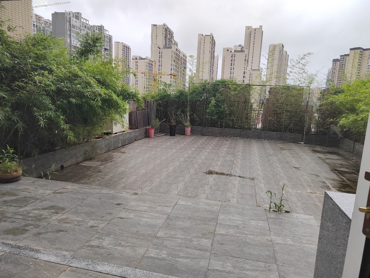 金兰湾商住小区   260.0㎡      9000.0元/月室内图