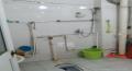 马王堆陶瓷建材新城  3室2厅1卫   1700.00元/月
