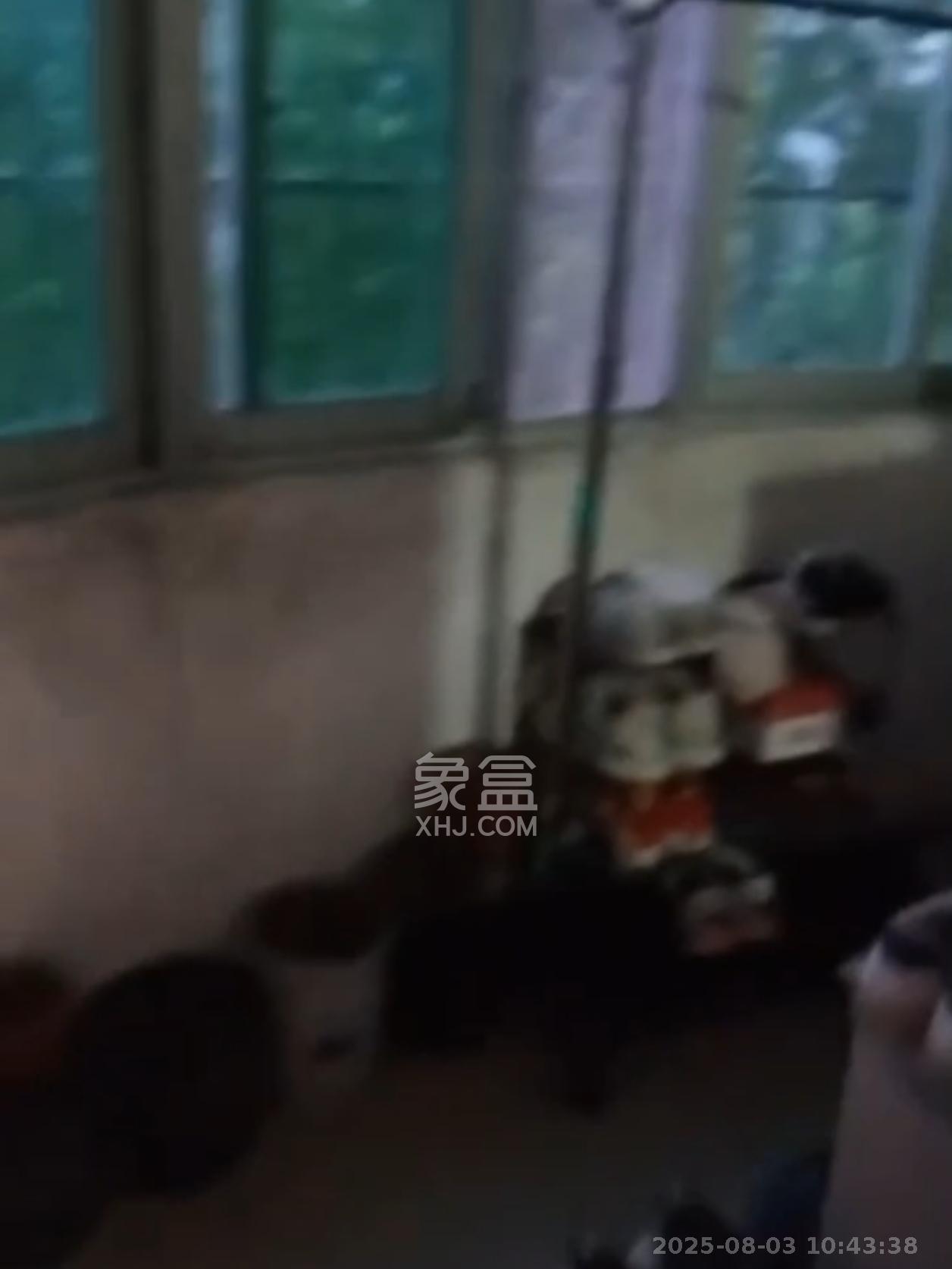 马王堆陶瓷建材新城  3室2厅1卫    1700.0元/月室内图