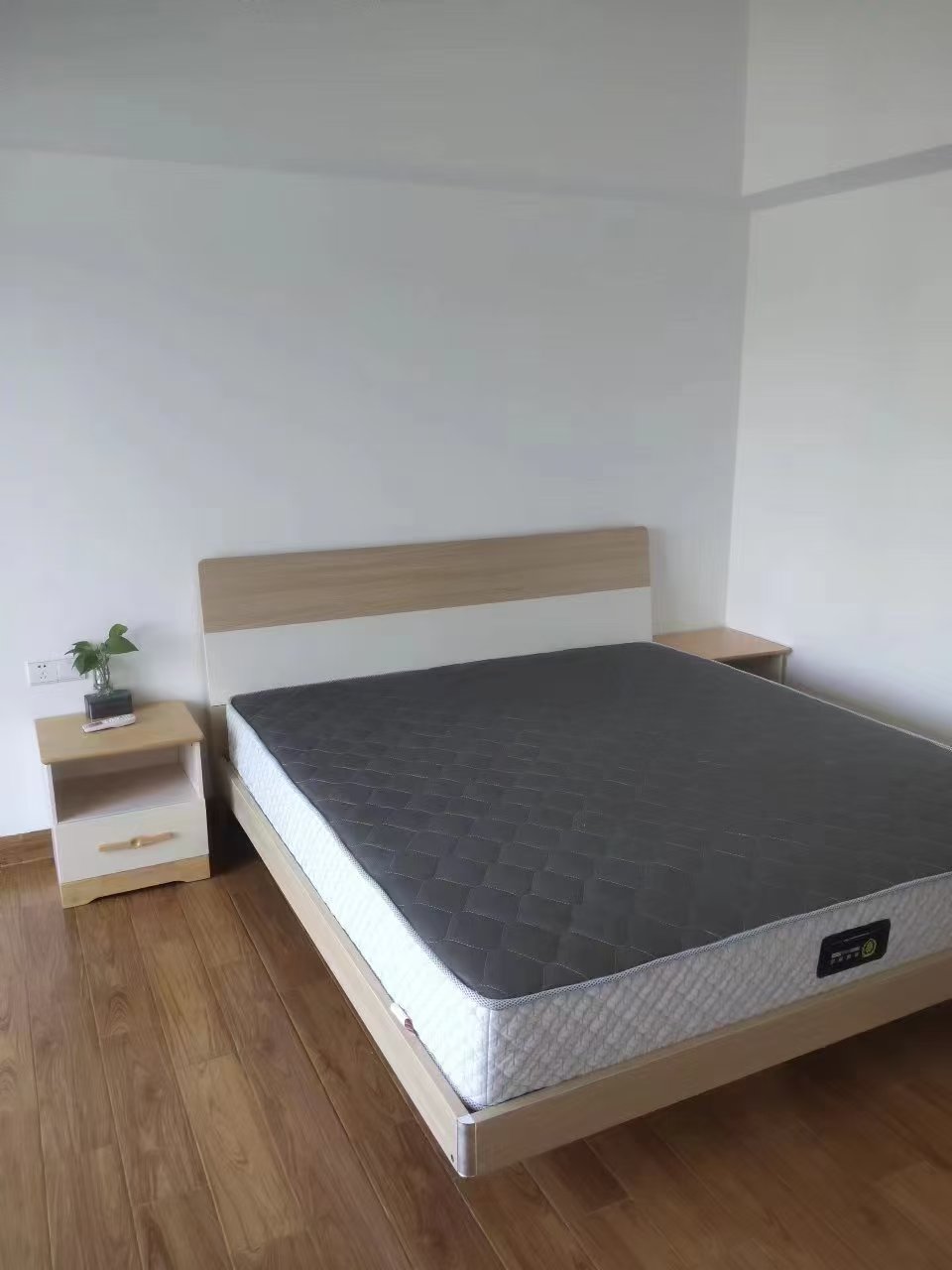 鲁能海蓝椰风  4室2厅2卫   7500.00元/月室内图