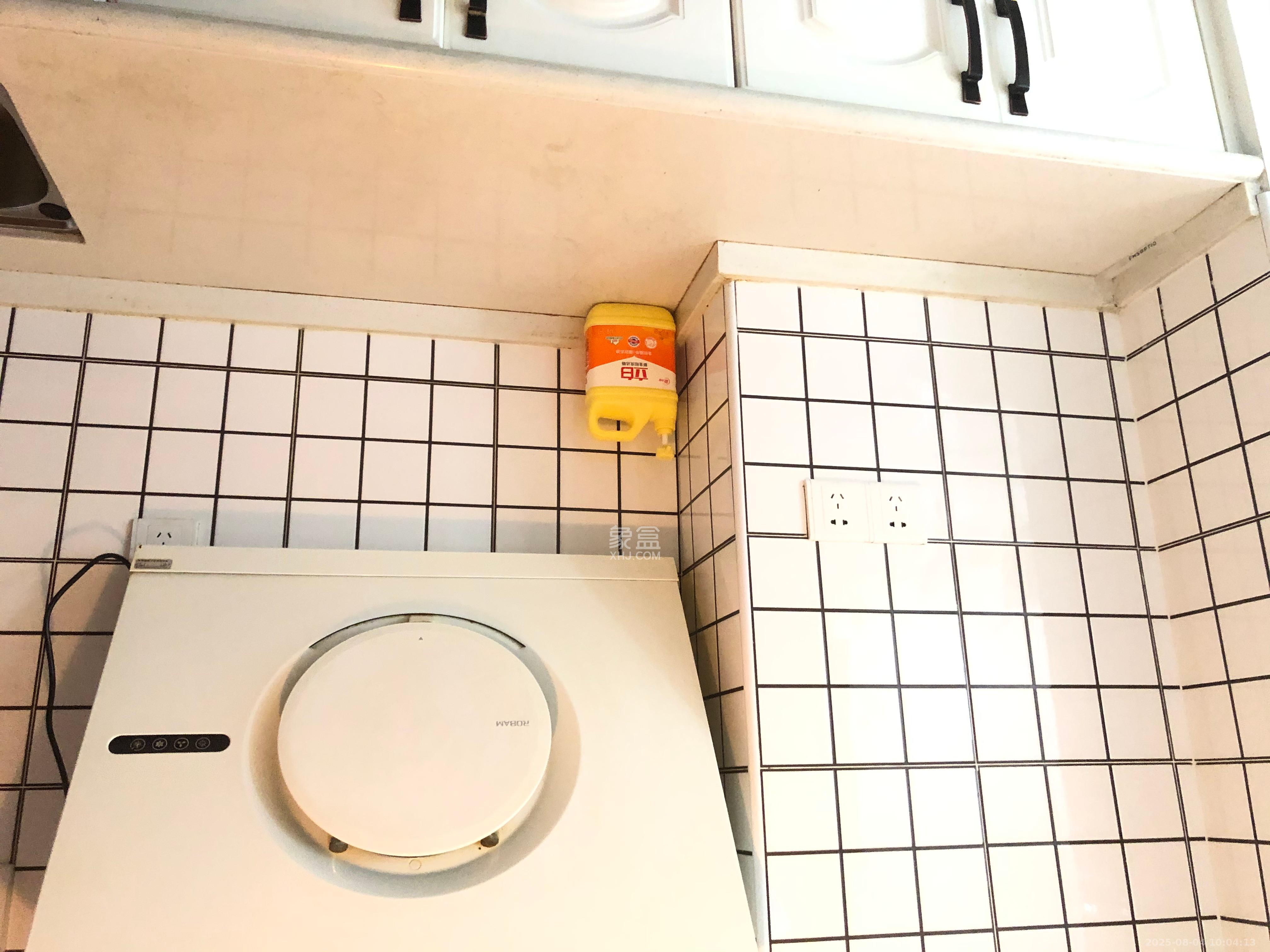 洋湖时代  1室1厅1卫    1400.0元/月室内图