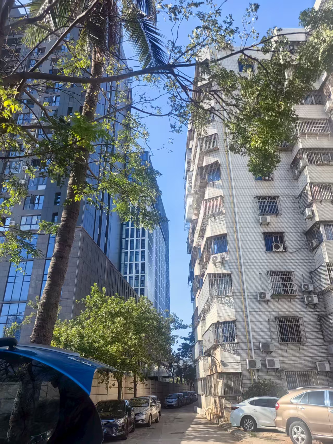 海口农行宿舍(海秀路48-1号) 3室2厅1卫 145.0万 海口农行宿舍(海秀路48-1号) 3室2厅1卫 145.0万客厅