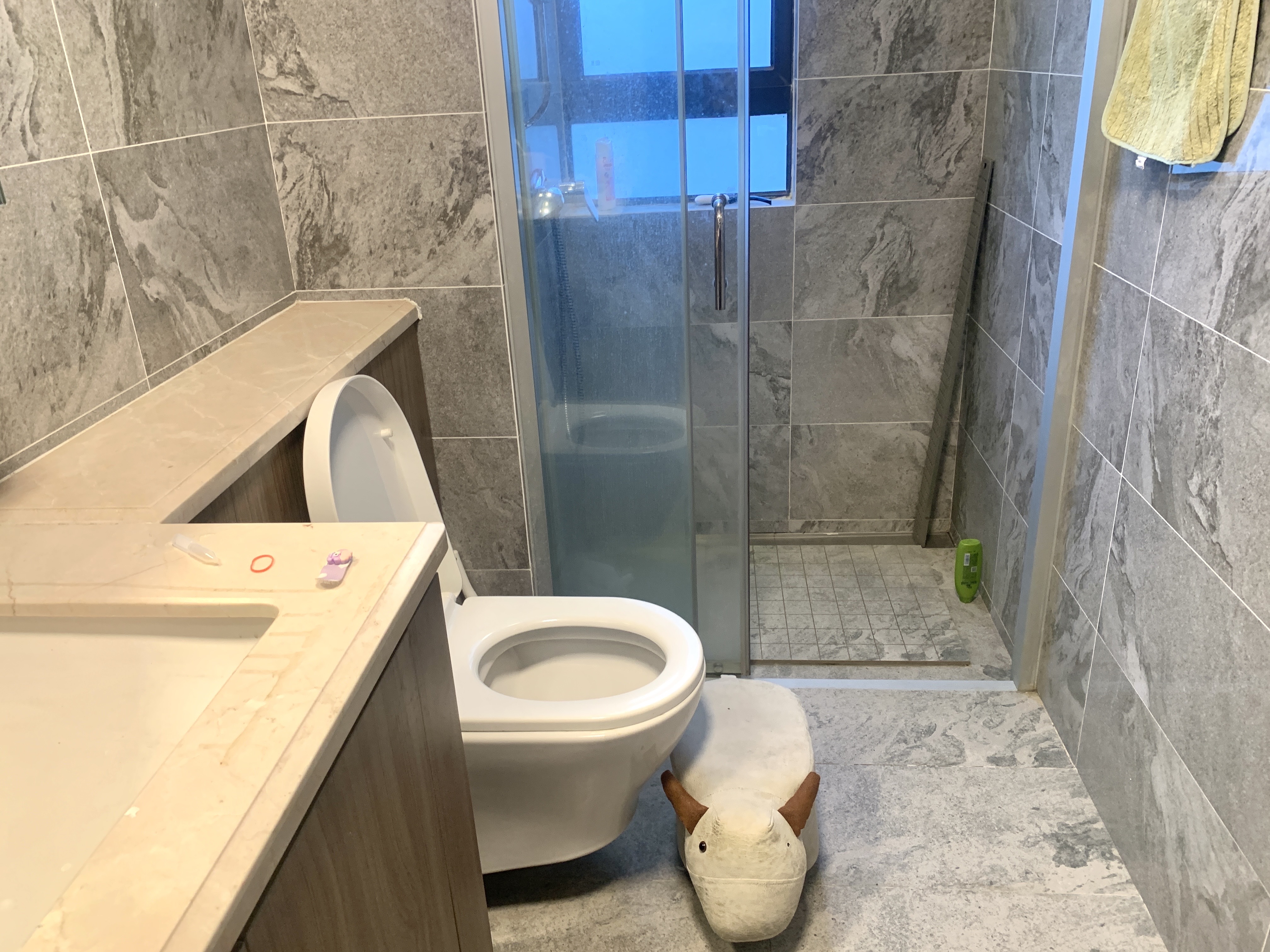 碧桂园剑桥郡 3室2厅2卫 3400.0元/月 碧桂园剑桥郡 3室2厅2卫 3400.0元/月室内图