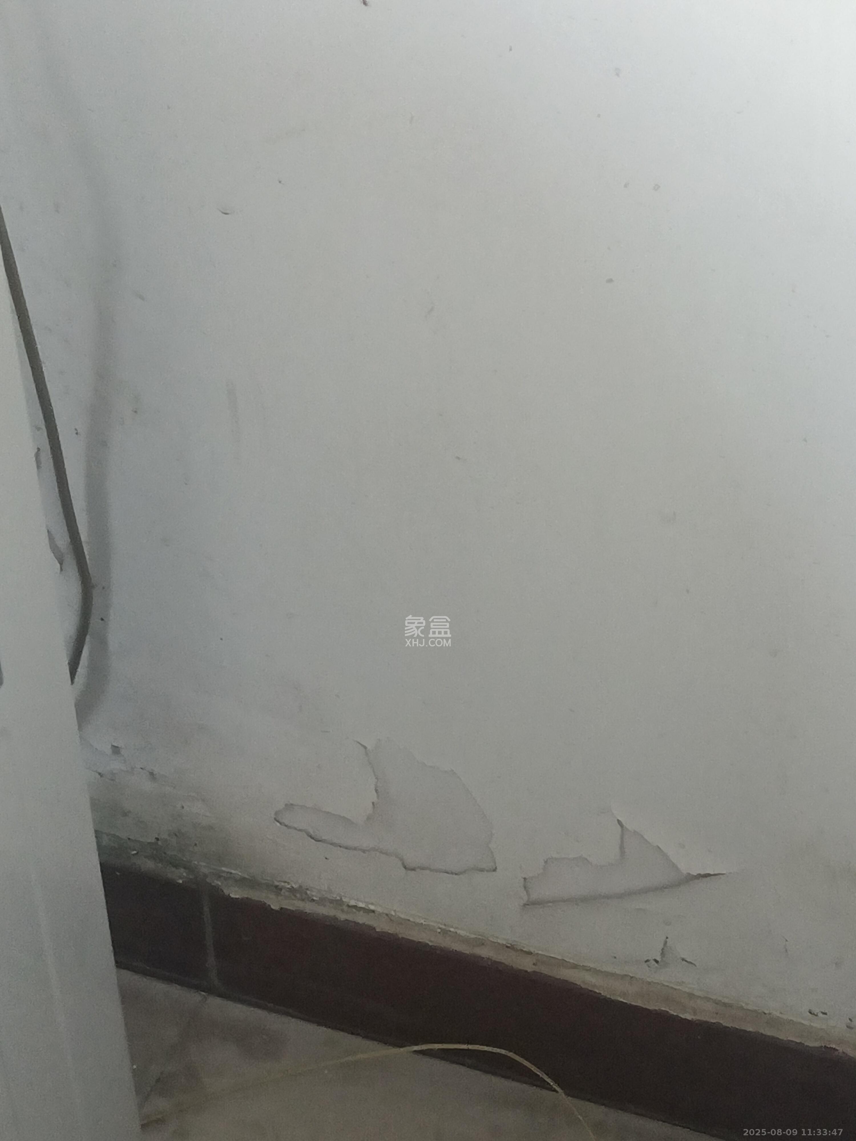 长丰小区  1室0厅0卫    1567.0元/月室内图
