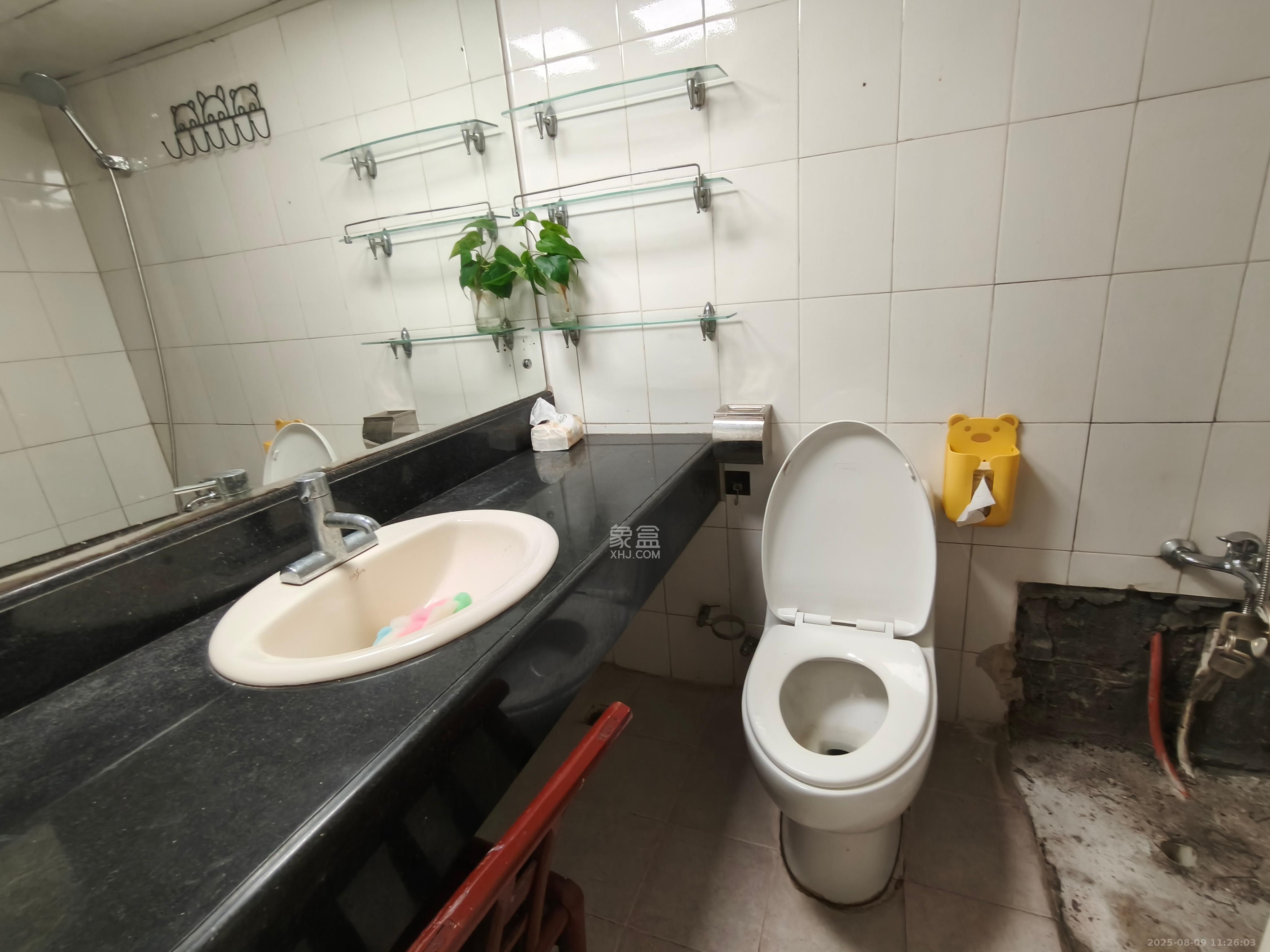 戥子桥散盘  3室2厅2卫    2700.0元/月室内图