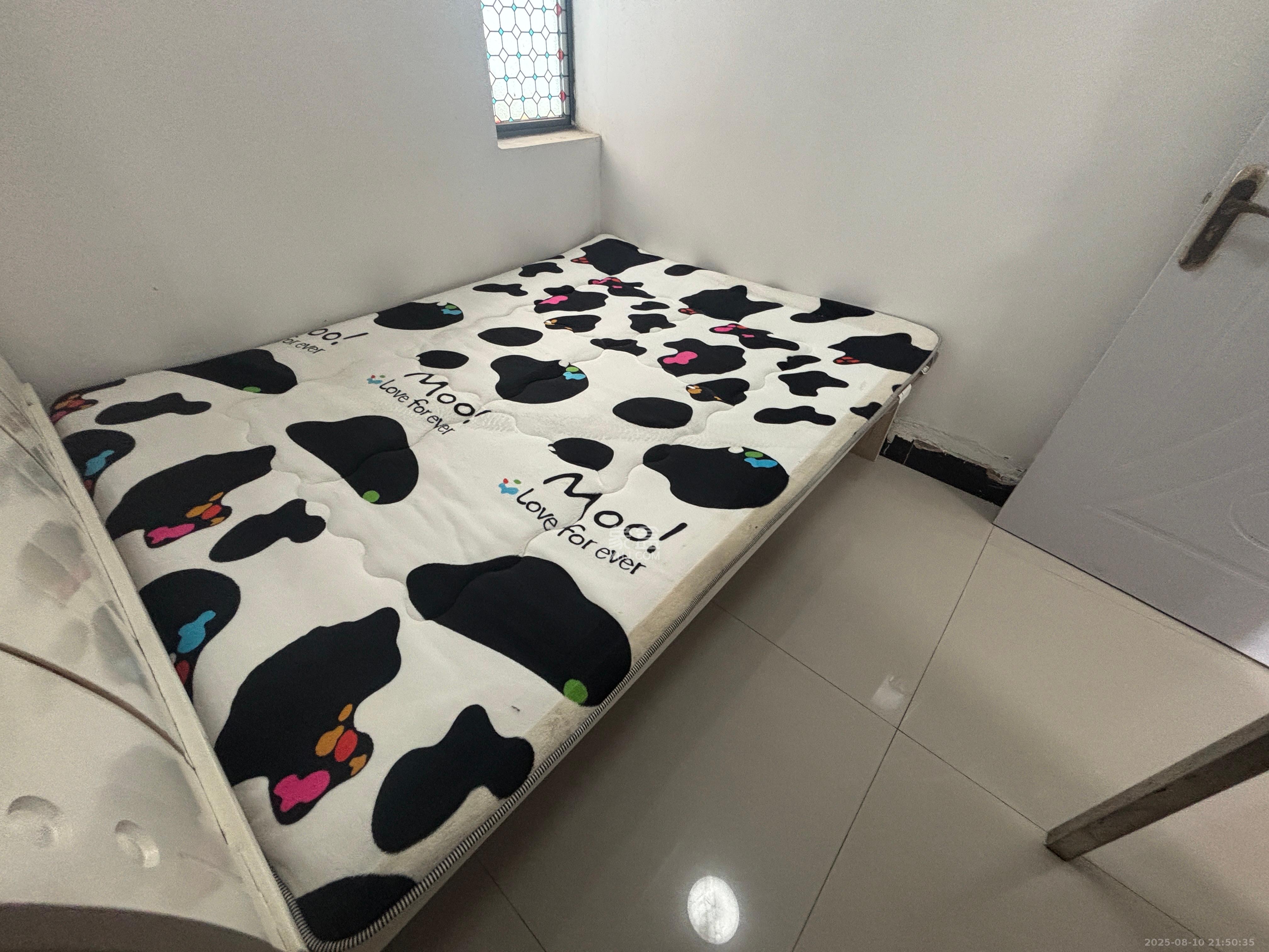 中欣楚天雅郡 2室2厅1卫 1500.0元/月 中欣楚天雅郡 2室2厅1卫 1500.0元/月室内图