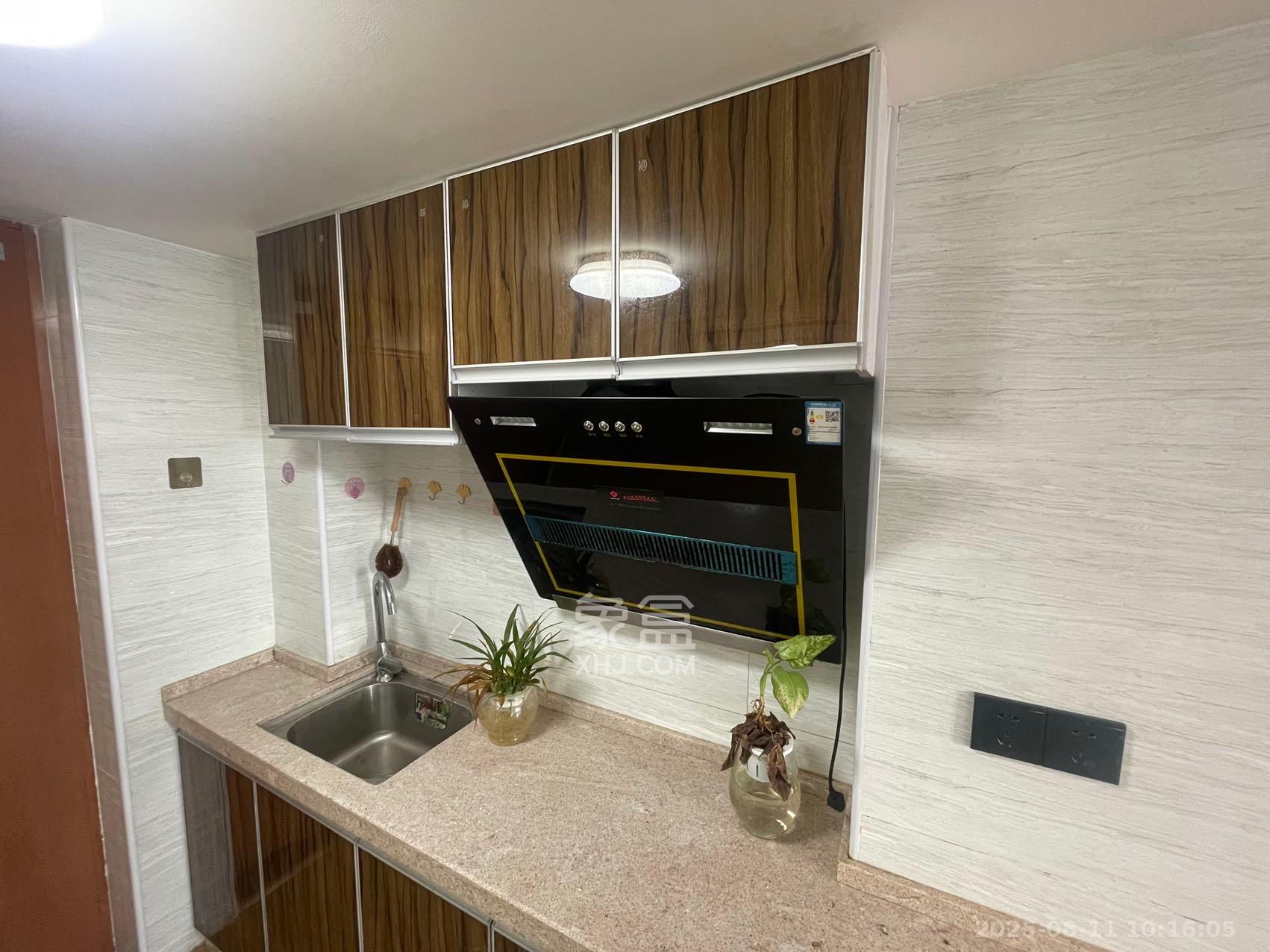 洋湖时代  1室1厅1卫    1400.0元/月室内图