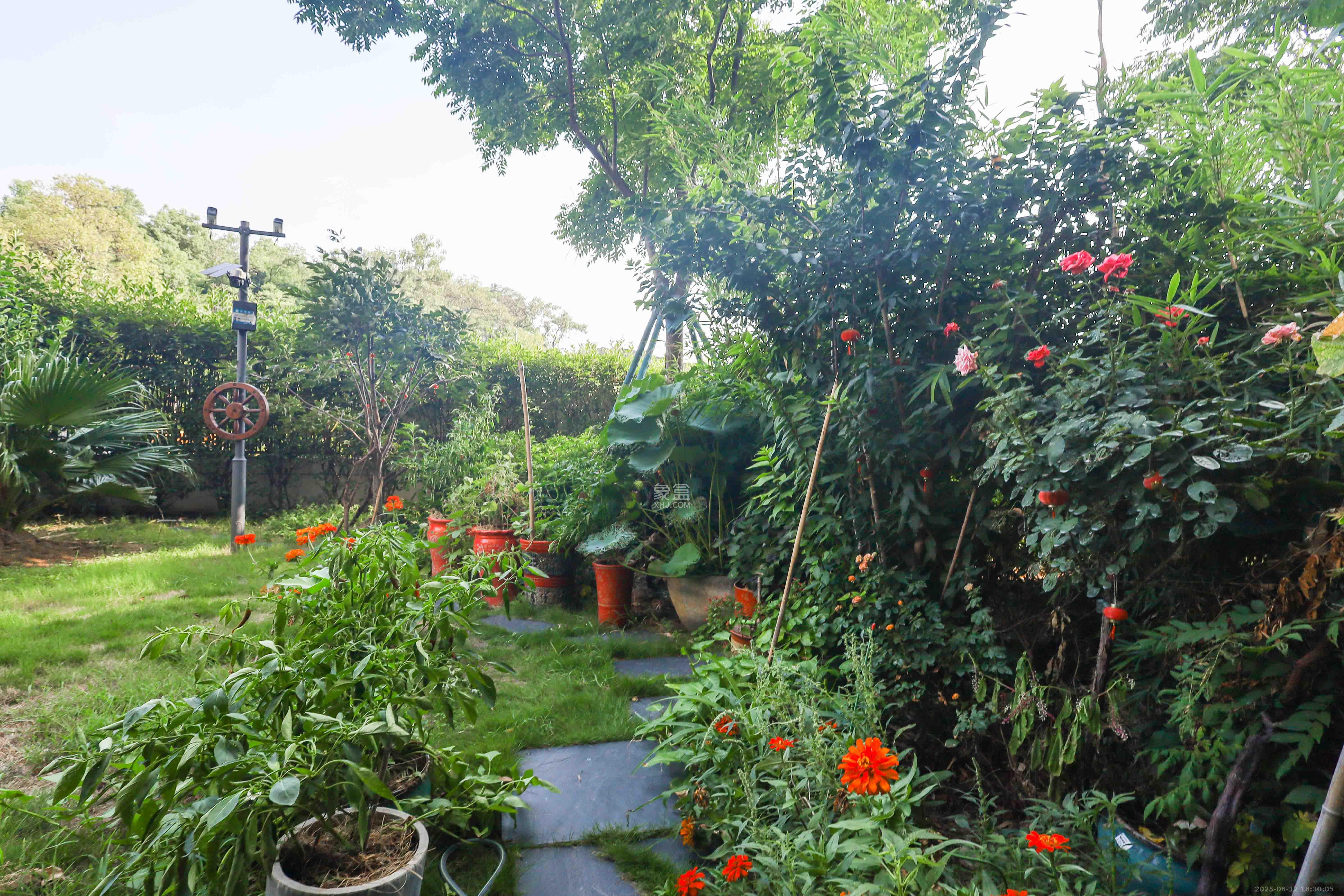 梅溪悦章  4室2厅2卫    228.0万 梅溪悦章  4室2厅2卫    228.0万阳台